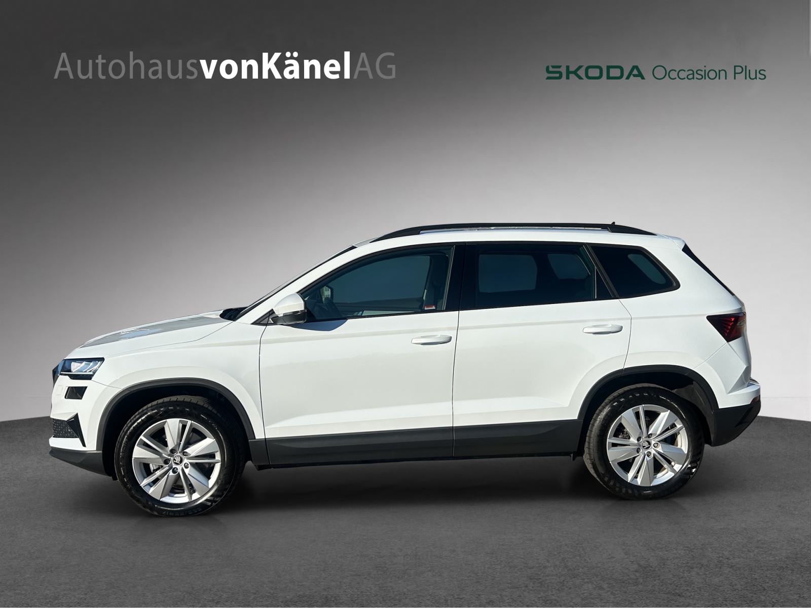 SKODA Karoq 2.0 TDI CR Selection 4x4 DSG-showroom-element-1