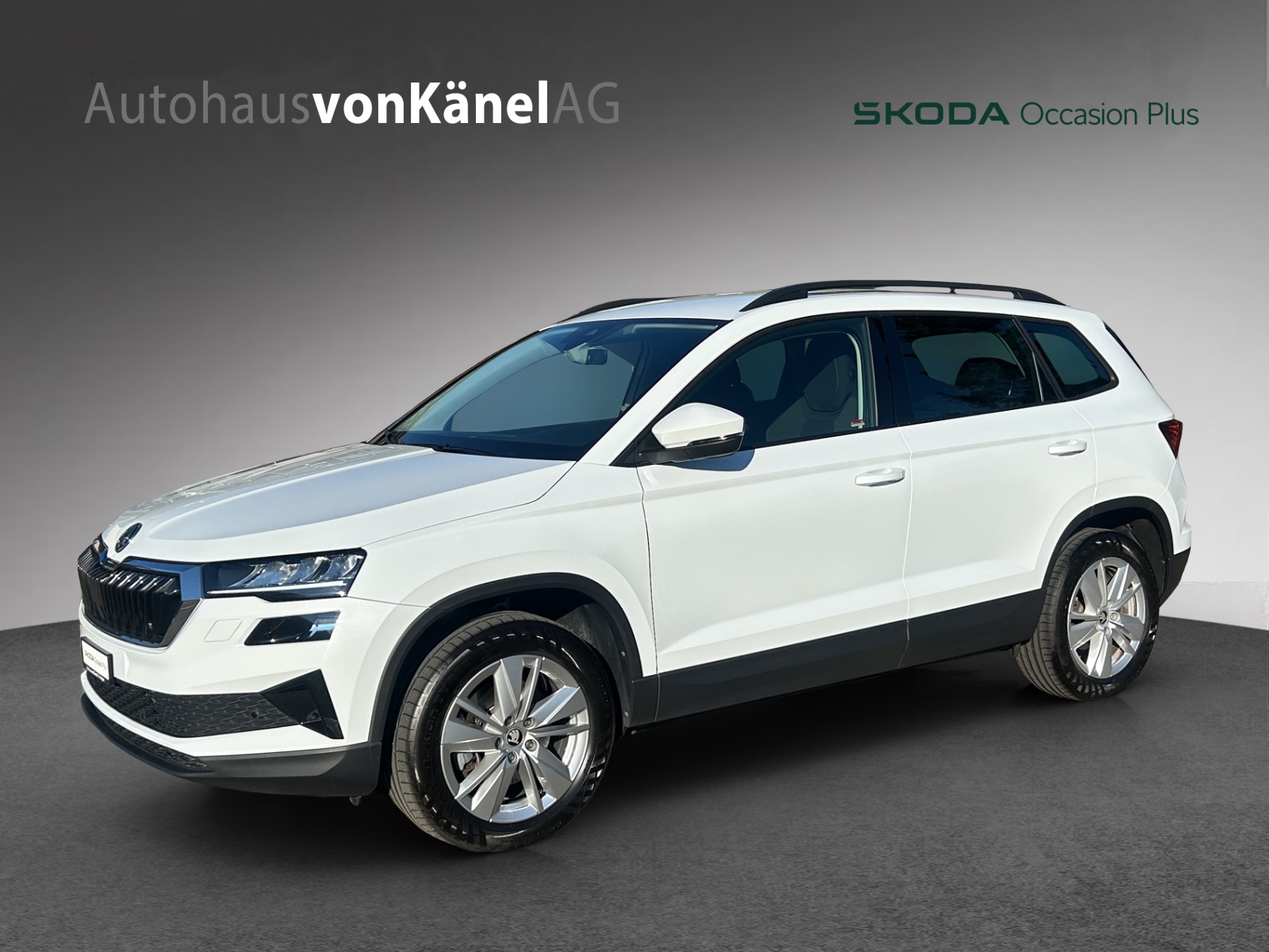 SKODA Karoq 2.0 TDI CR Selection 4x4 DSG