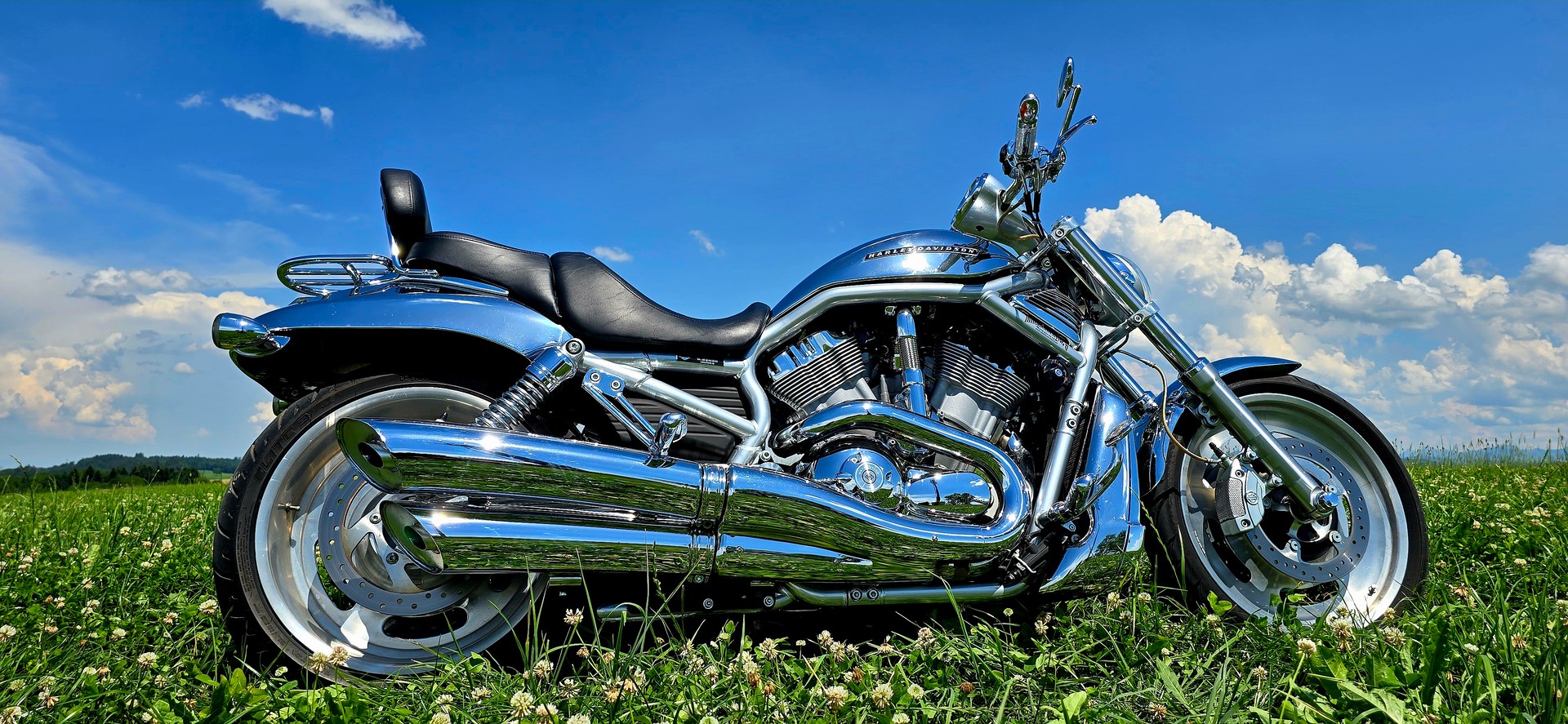 HARLEY-DAVIDSON VRSCA V-Rod A-image-1