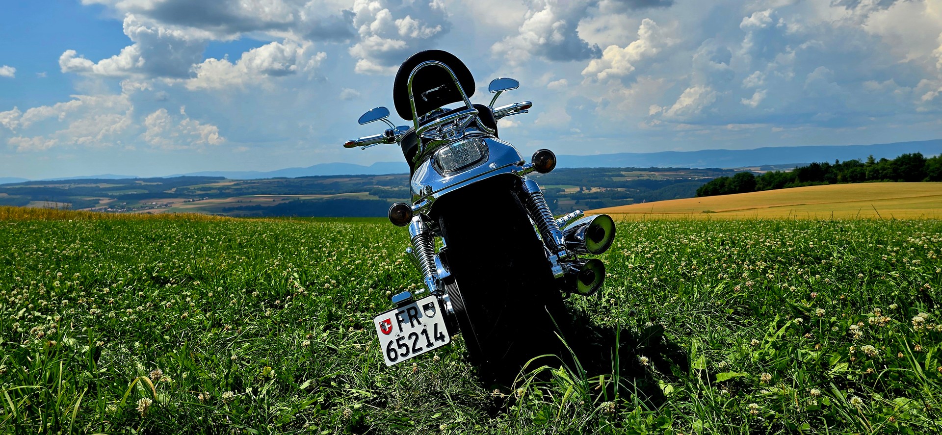 HARLEY-DAVIDSON VRSCA V-Rod A-image-12