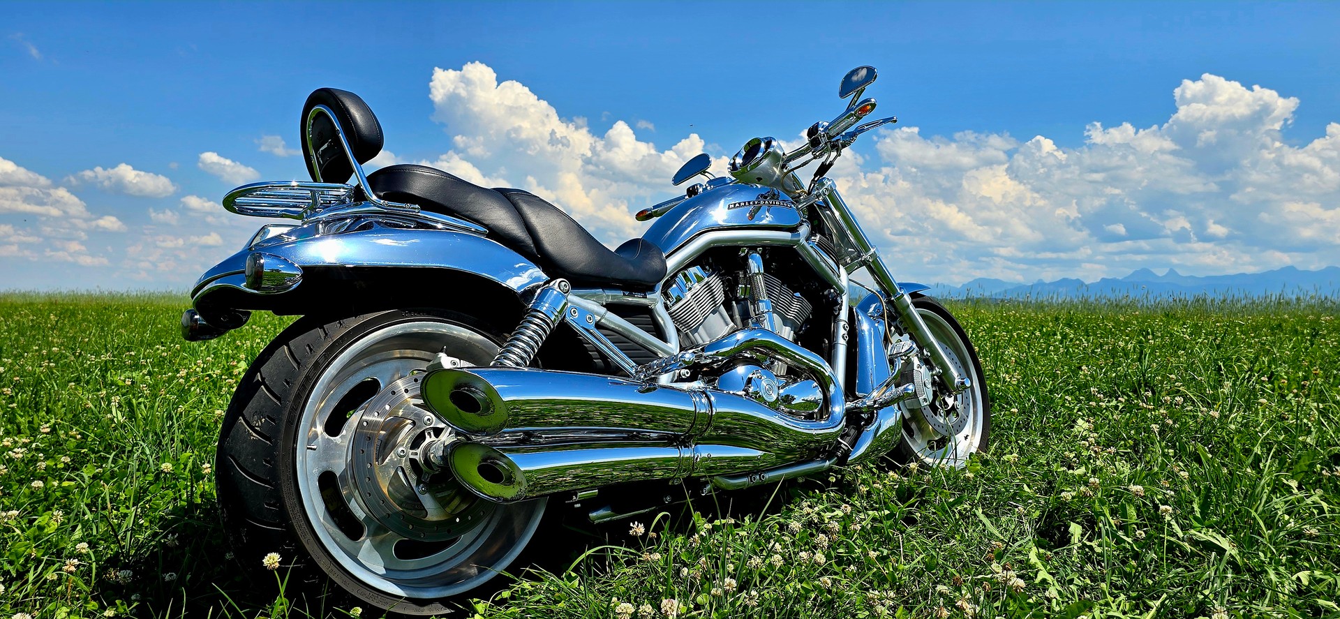HARLEY-DAVIDSON VRSCA V-Rod A-image-2