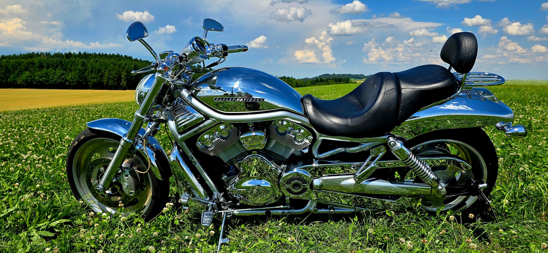 HARLEY-DAVIDSON VRSCA V-Rod A-image-10