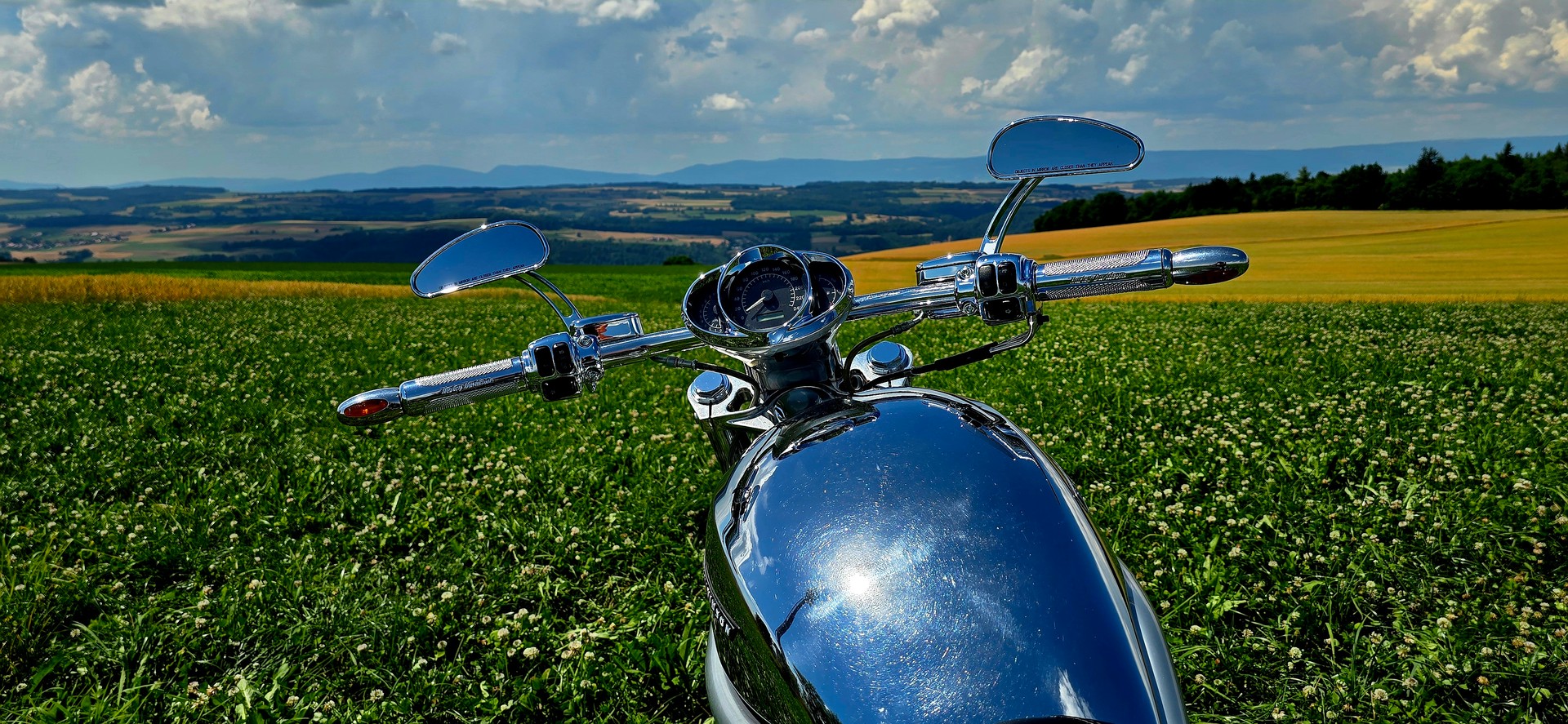 HARLEY-DAVIDSON VRSCA V-Rod A-image-13