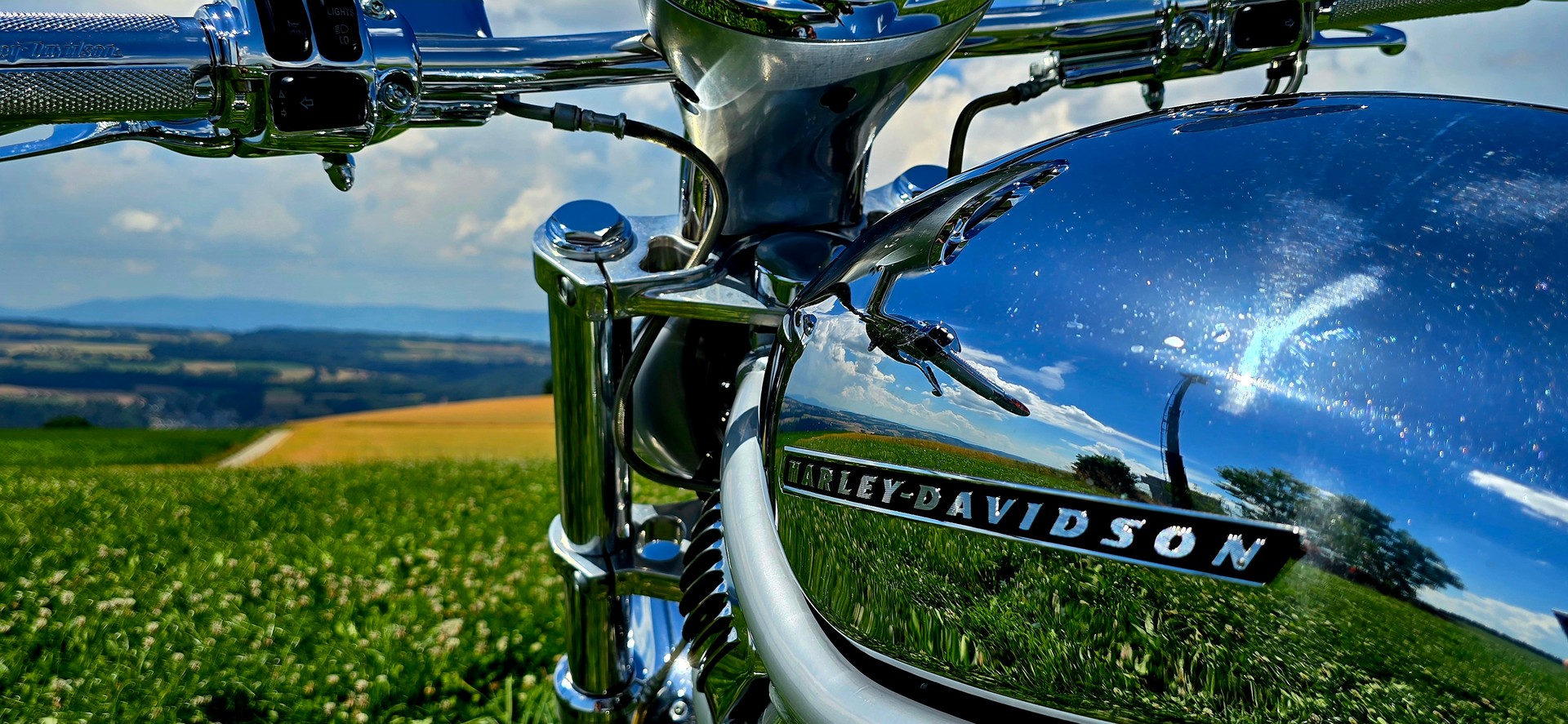 HARLEY-DAVIDSON VRSCA V-Rod A-image-14