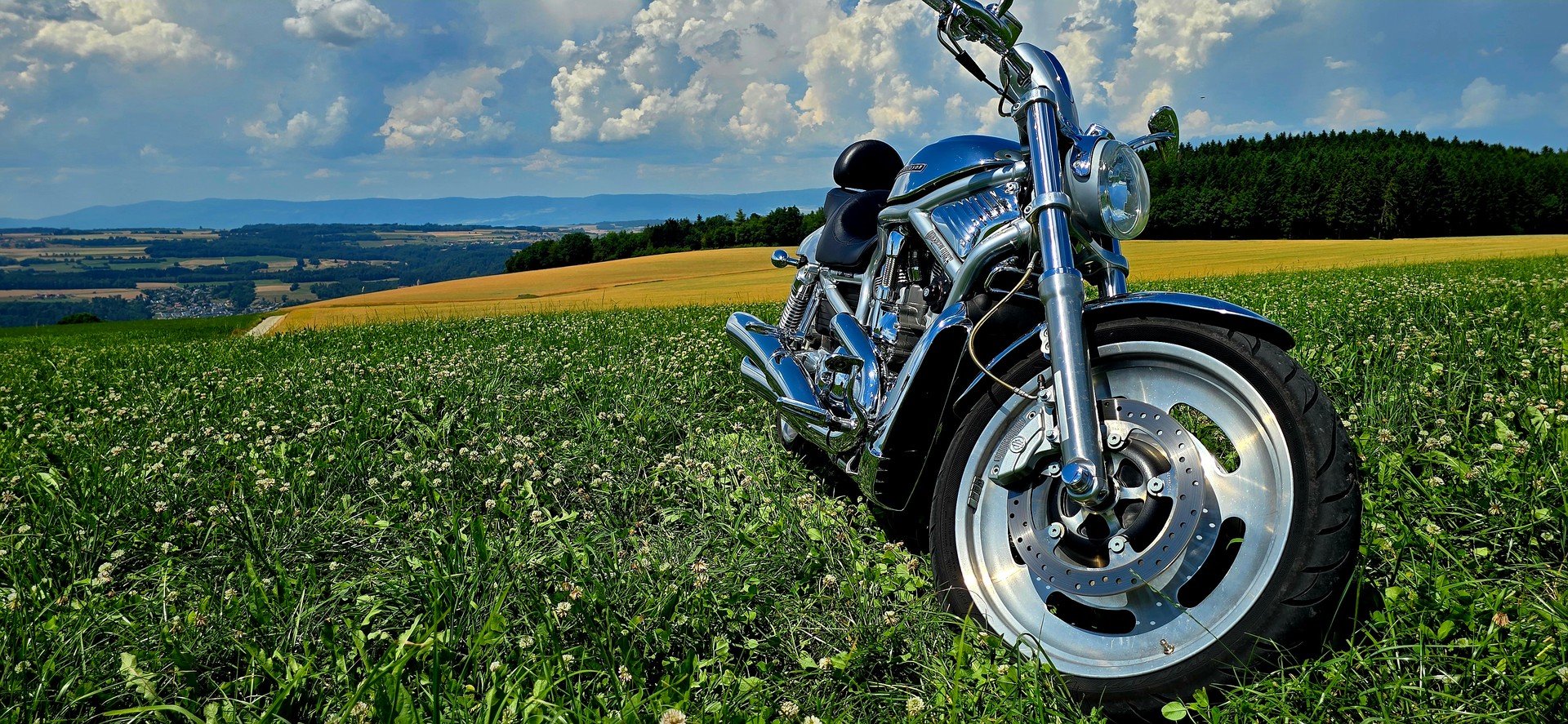 HARLEY-DAVIDSON VRSCA V-Rod A-image-7
