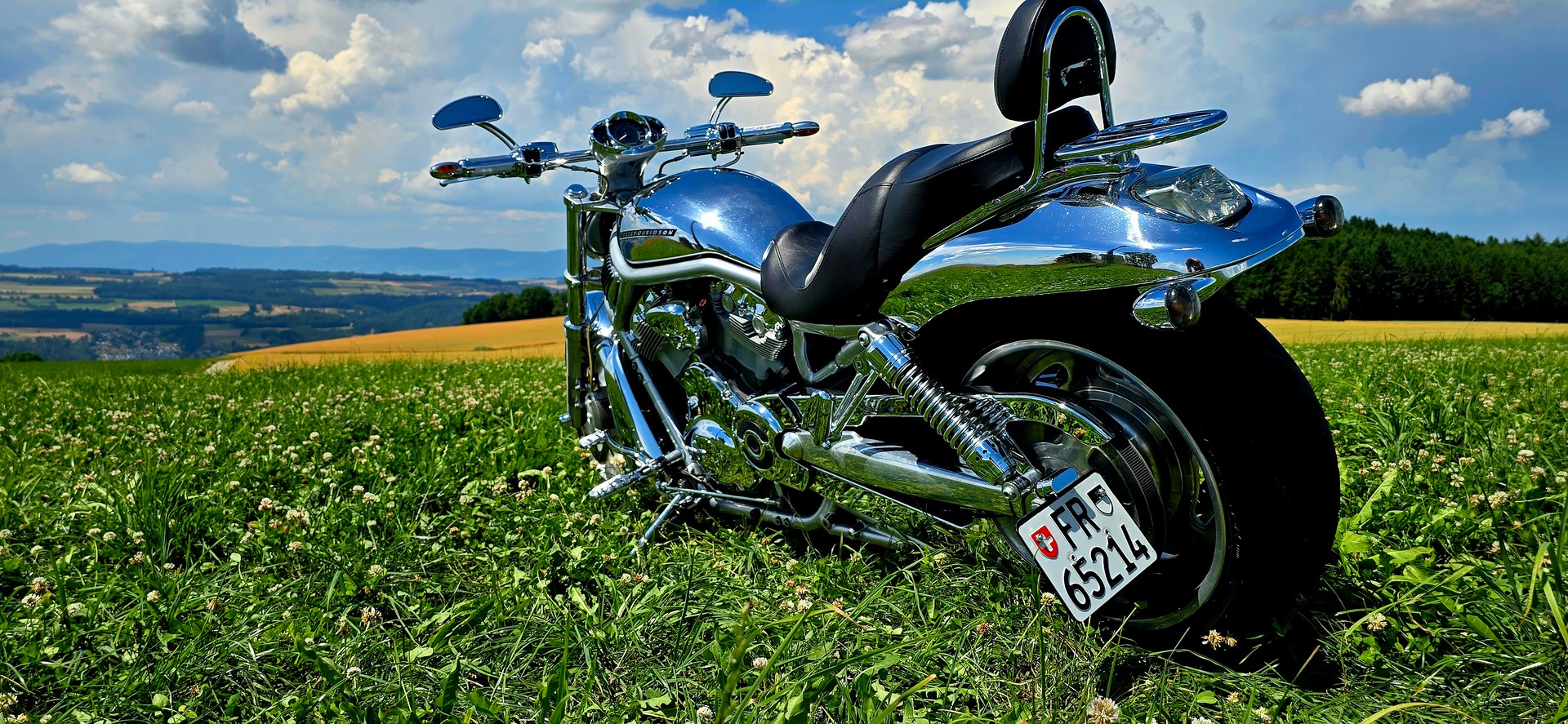 HARLEY-DAVIDSON VRSCA V-Rod A-image-11