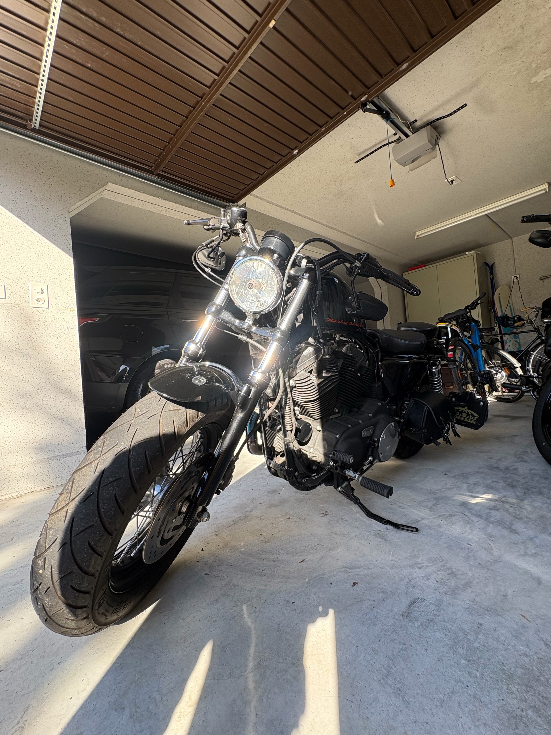 HARLEY-DAVIDSON XL 1200 X Forty Eight-image-3