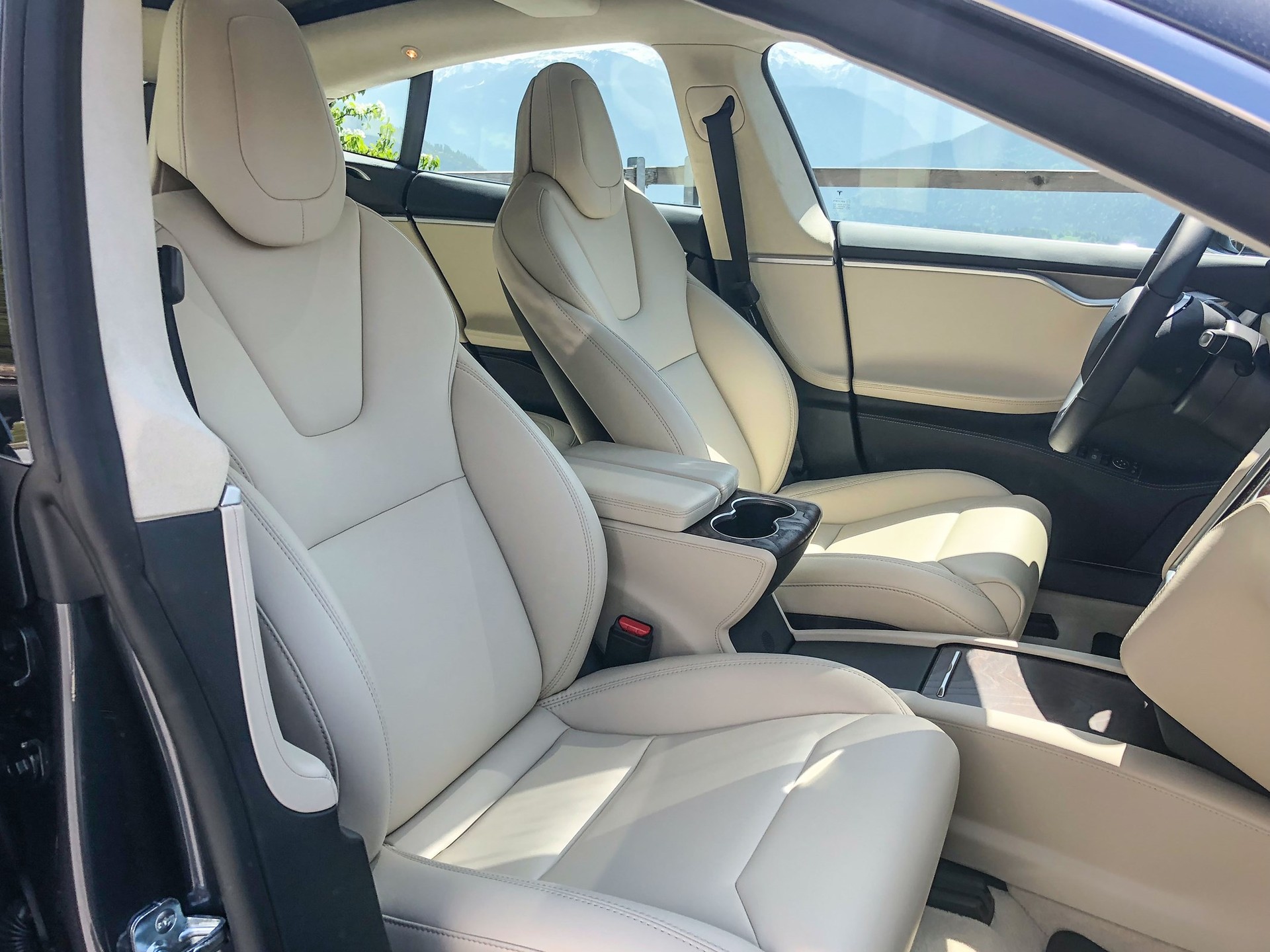 TESLA Model S 100 D-image-3