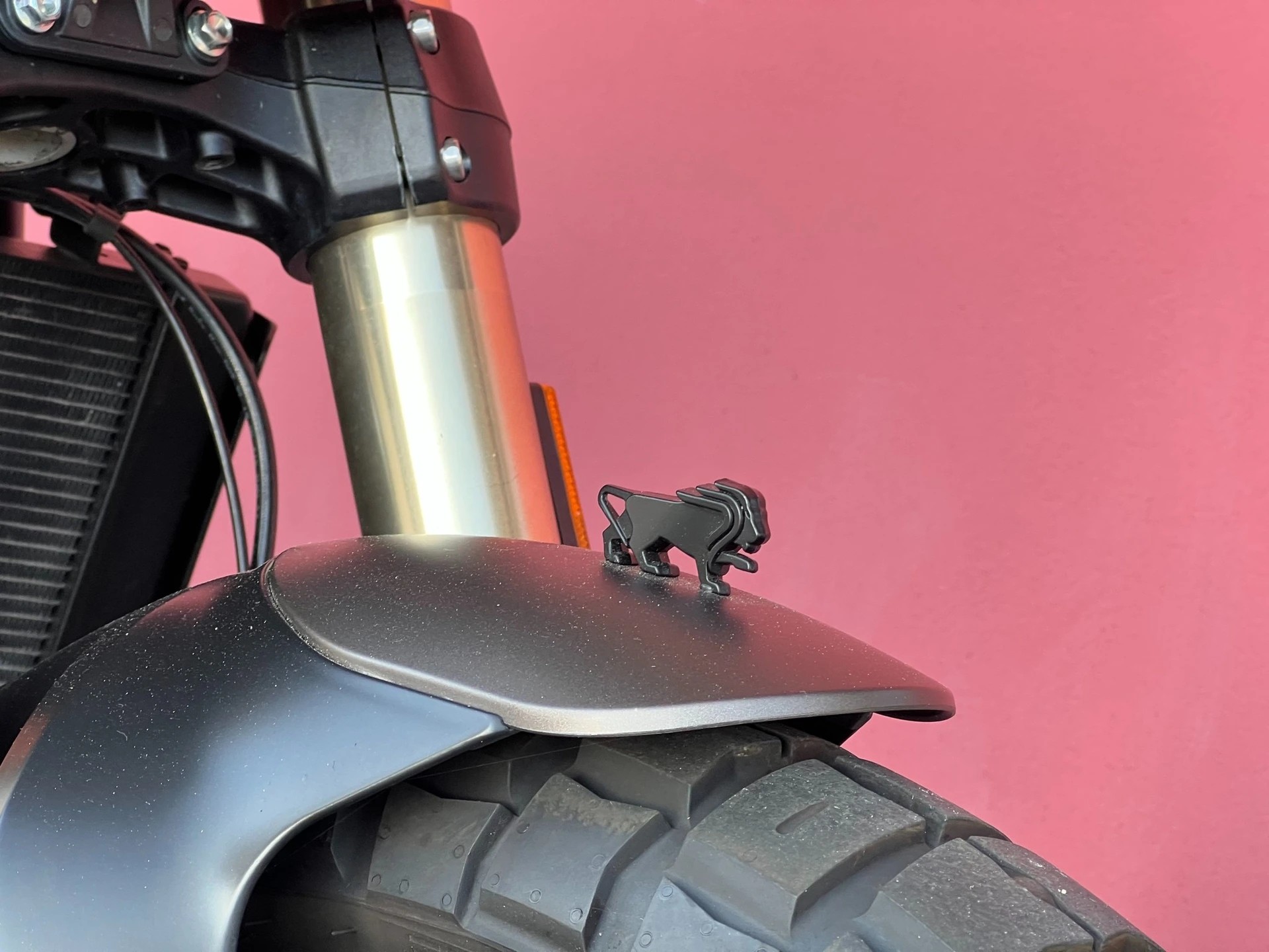 BENELLI Leoncino 800 T-image-10