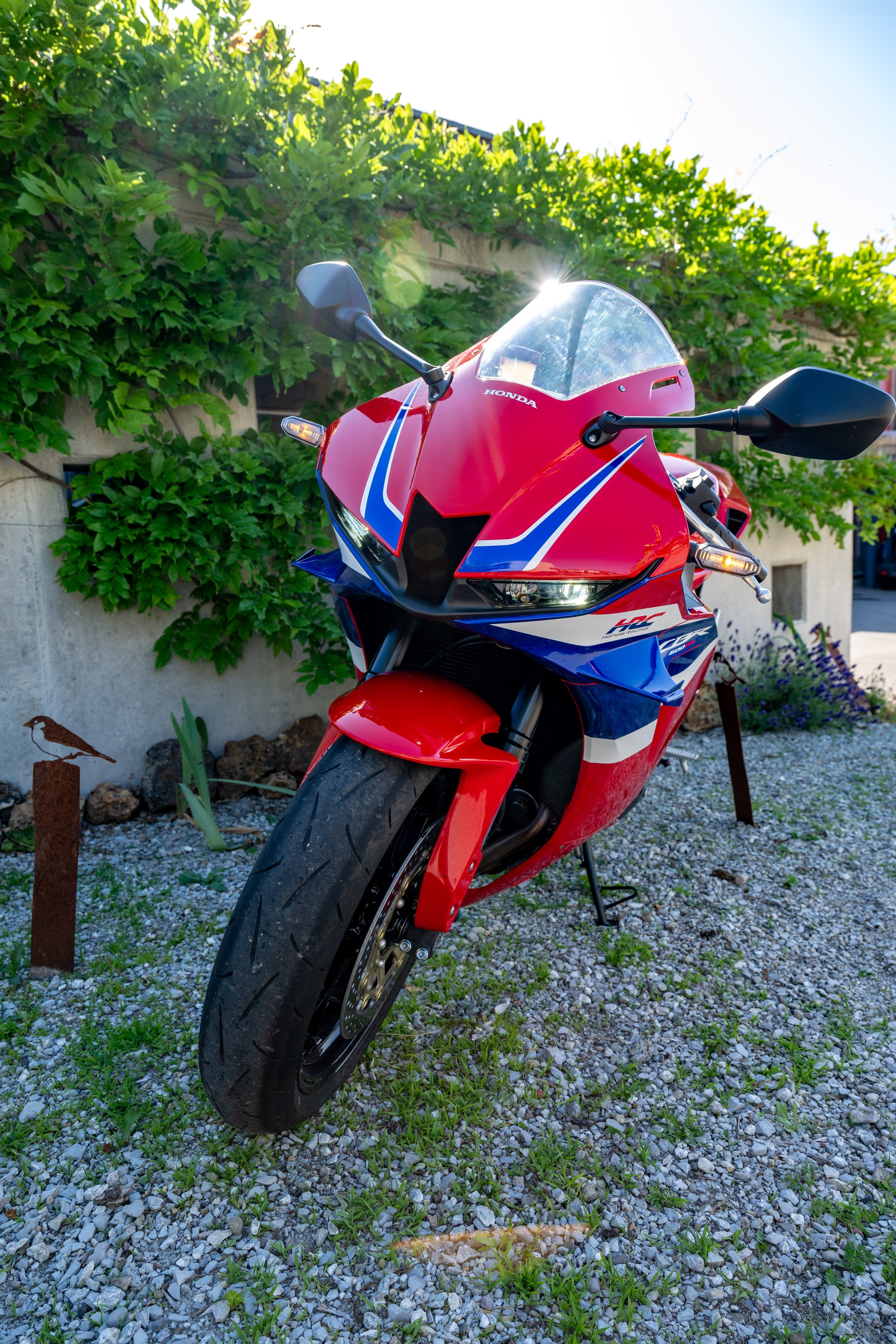 HONDA CBR 600 RR-image-3
