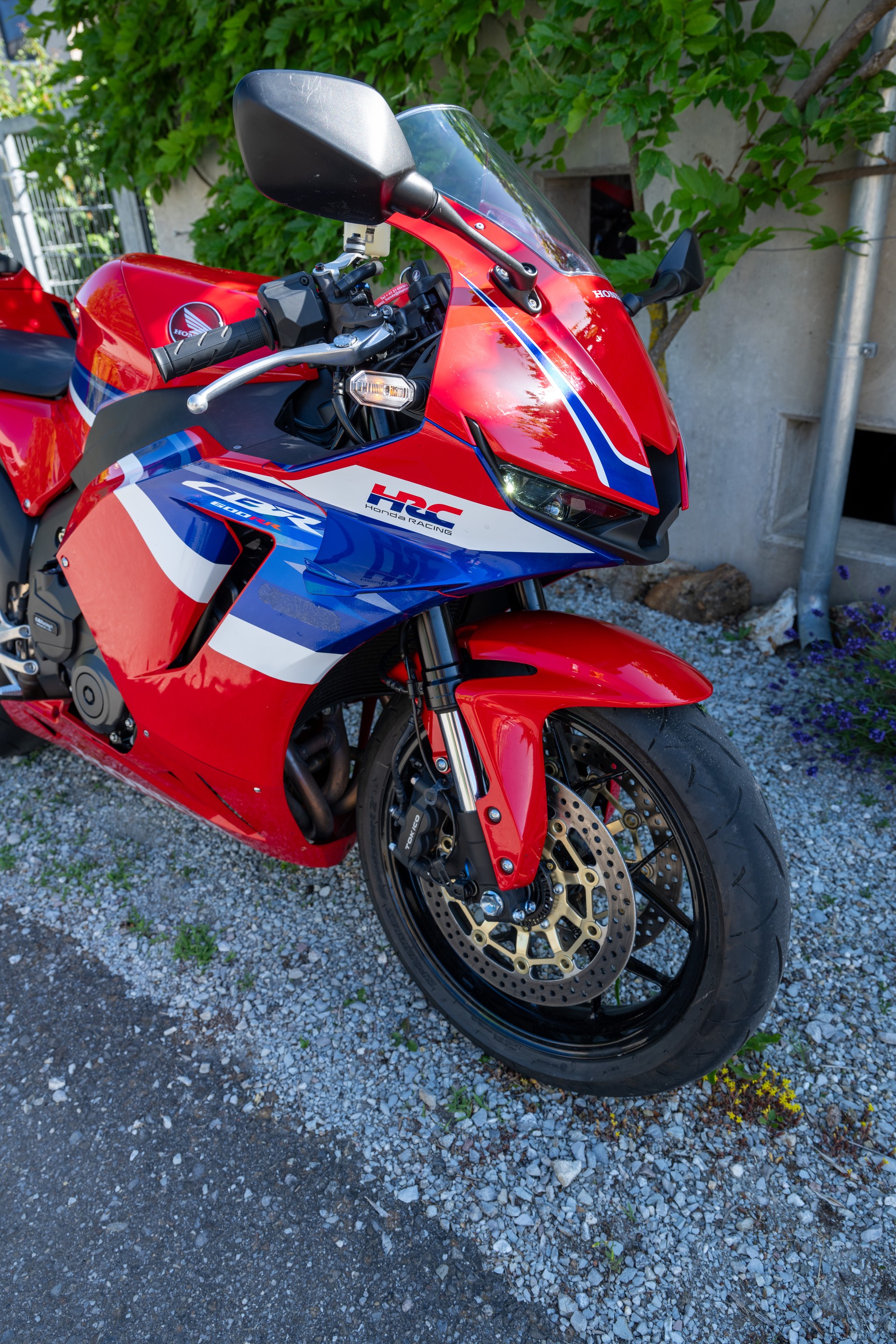 HONDA CBR 600 RR-image-5