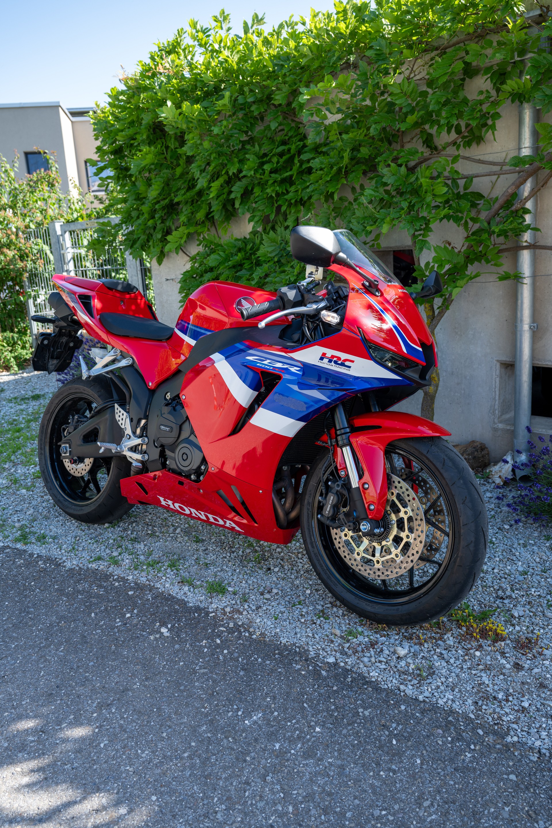 HONDA CBR 600 RR-image-4