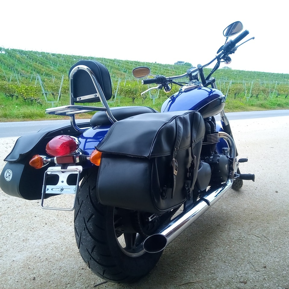 TRIUMPH Speedmaster 900 i-image-5