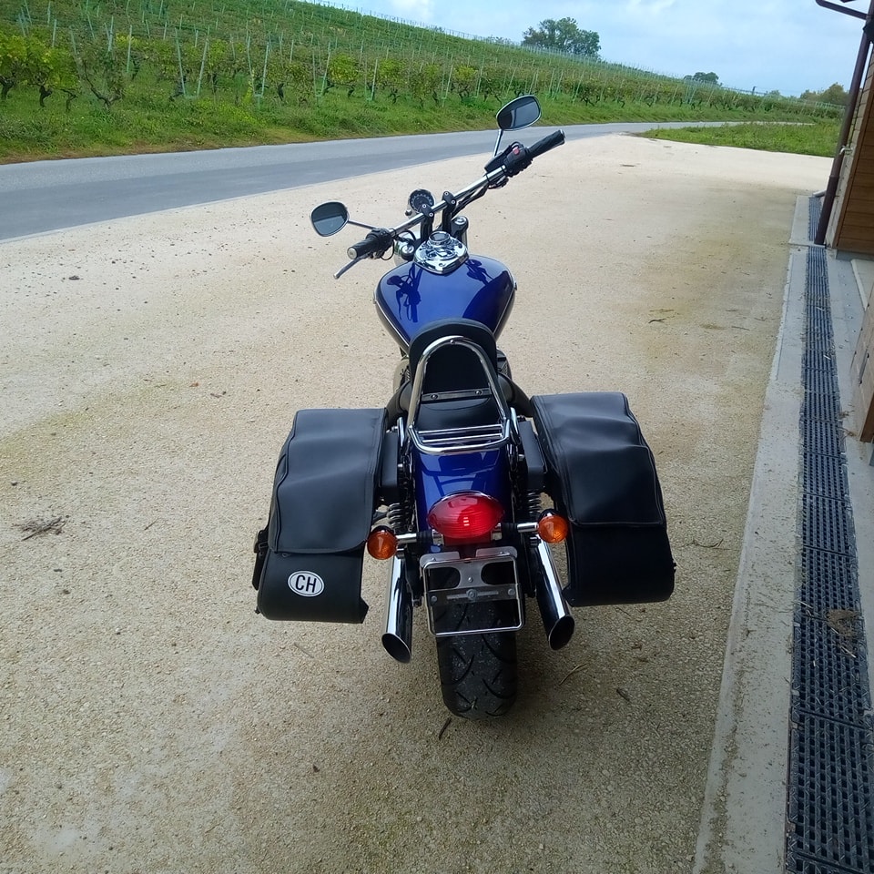 TRIUMPH Speedmaster 900 i-image-2