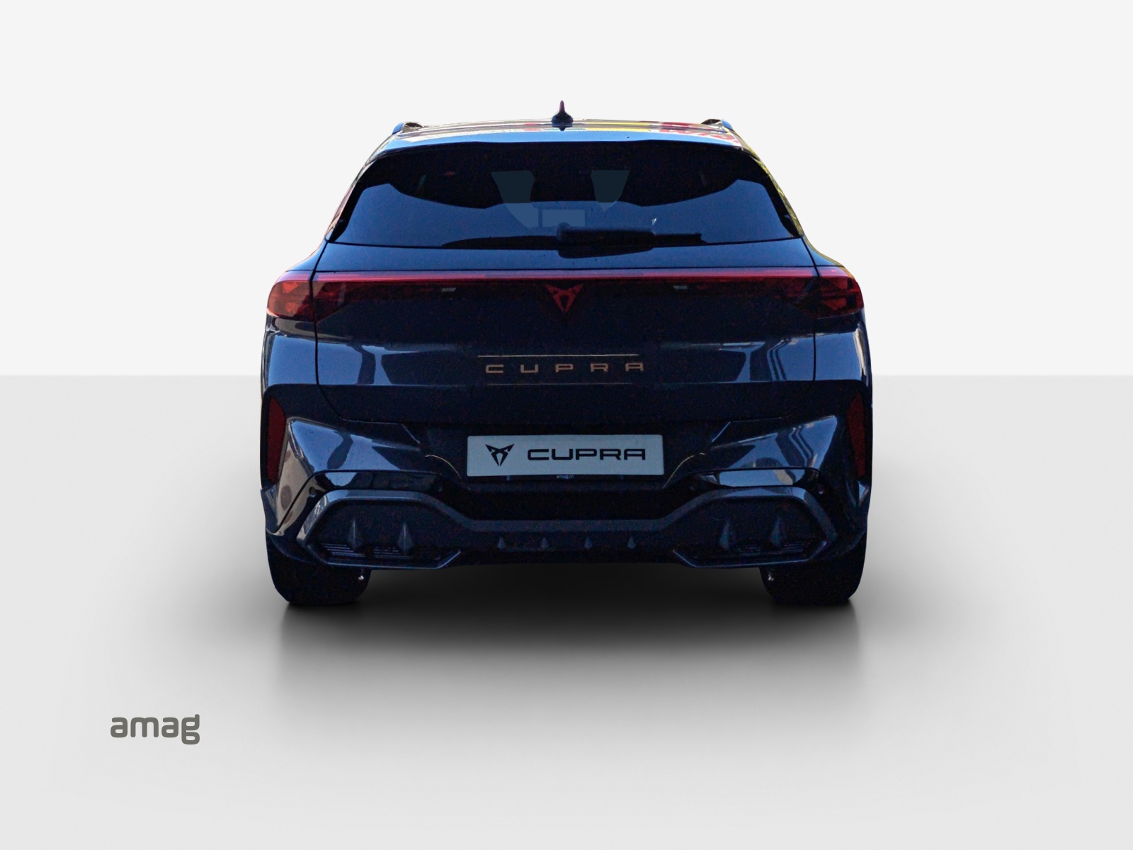 CUPRA Terramar 2.0 TSI DSG 4Drive-showroom-element-3
