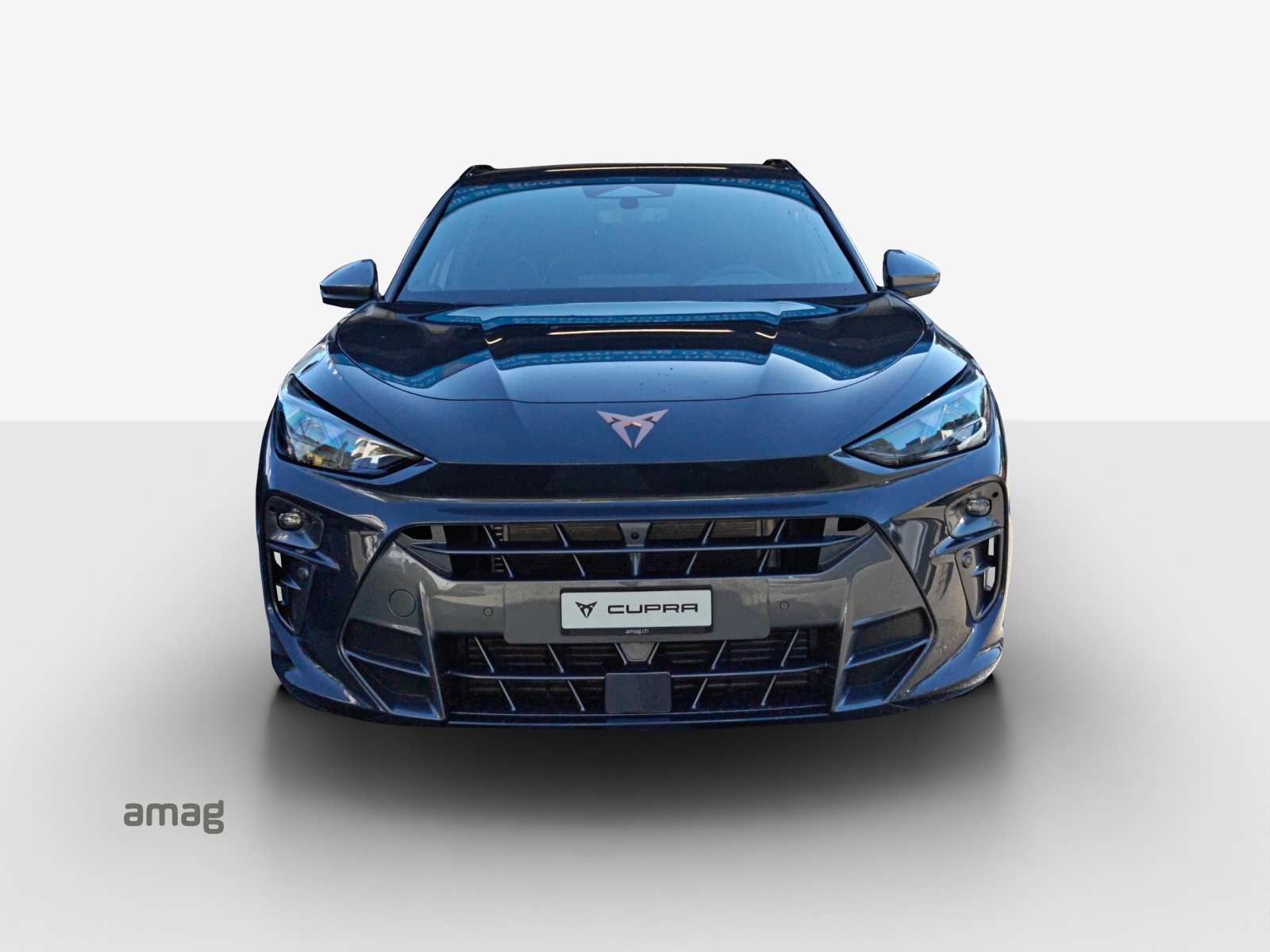 CUPRA Terramar 2.0 TSI DSG 4Drive-image-6