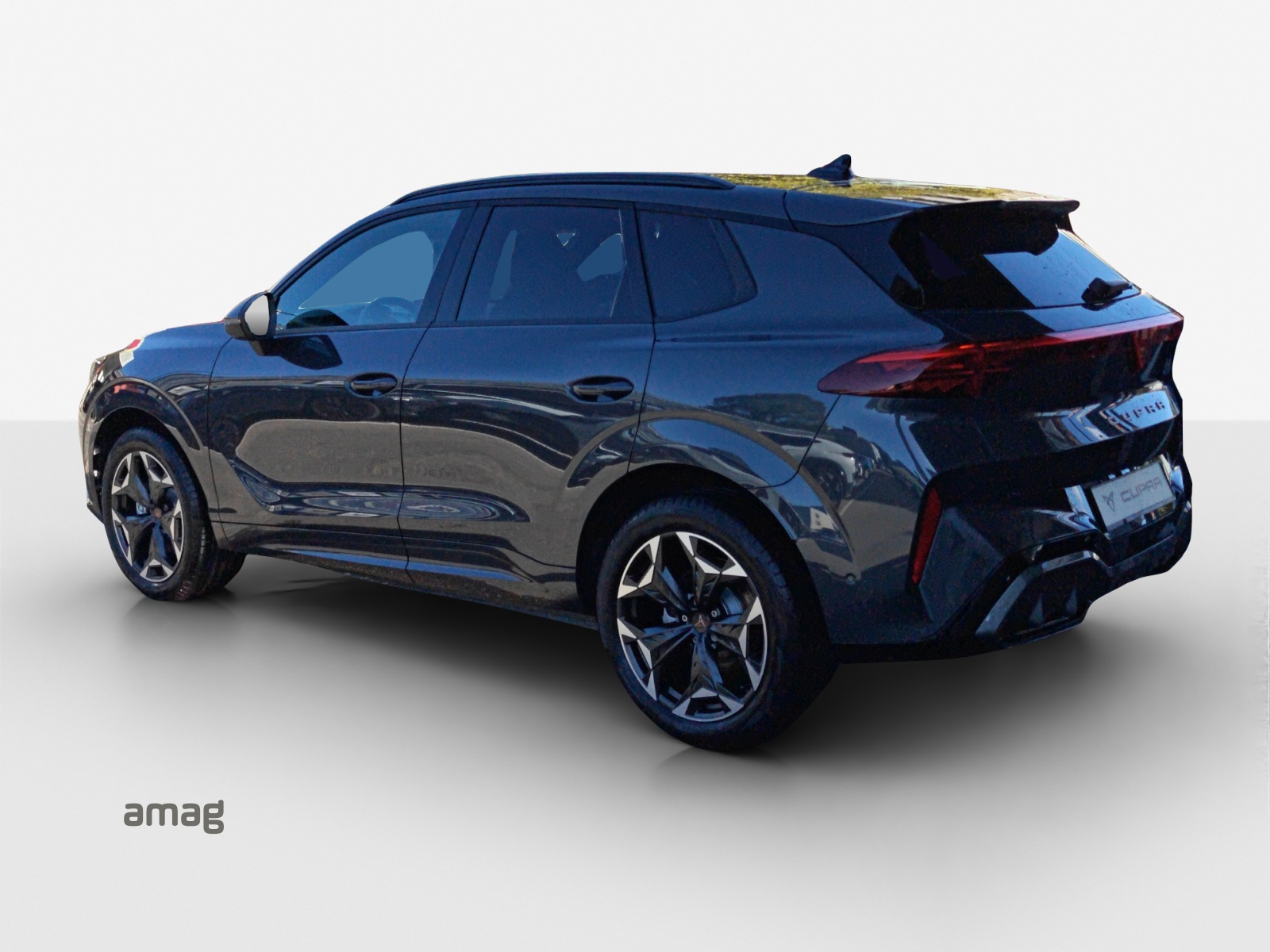 CUPRA Terramar 2.0 TSI DSG 4Drive-showroom-element-2