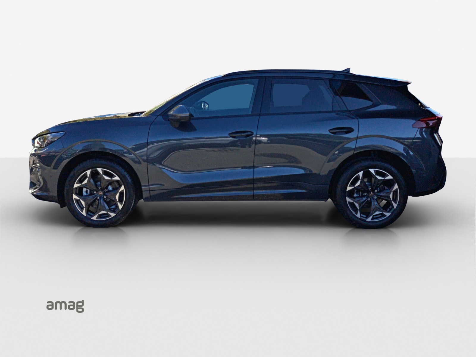 CUPRA Terramar 2.0 TSI DSG 4Drive-showroom-element-1
