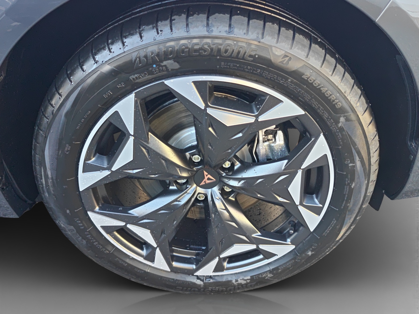 CUPRA Terramar 2.0 TSI DSG 4Drive-image-14