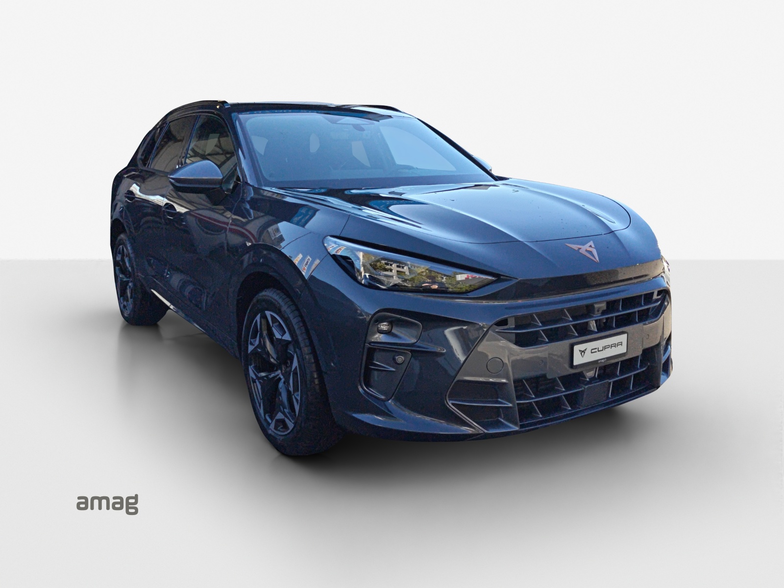 CUPRA Terramar 2.0 TSI DSG 4Drive-image-5