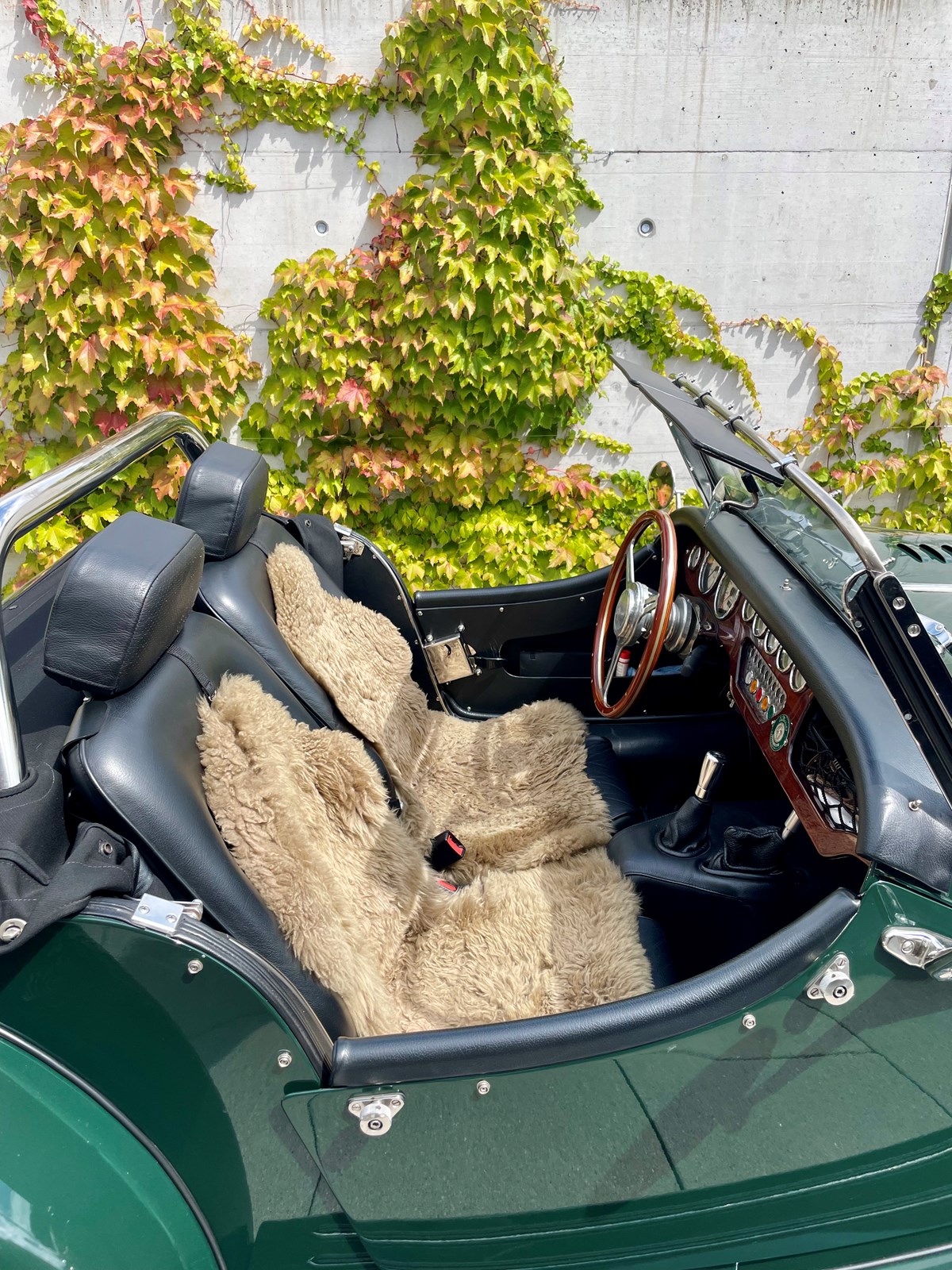 MORGAN PLUS 8 LeMans62-image-7