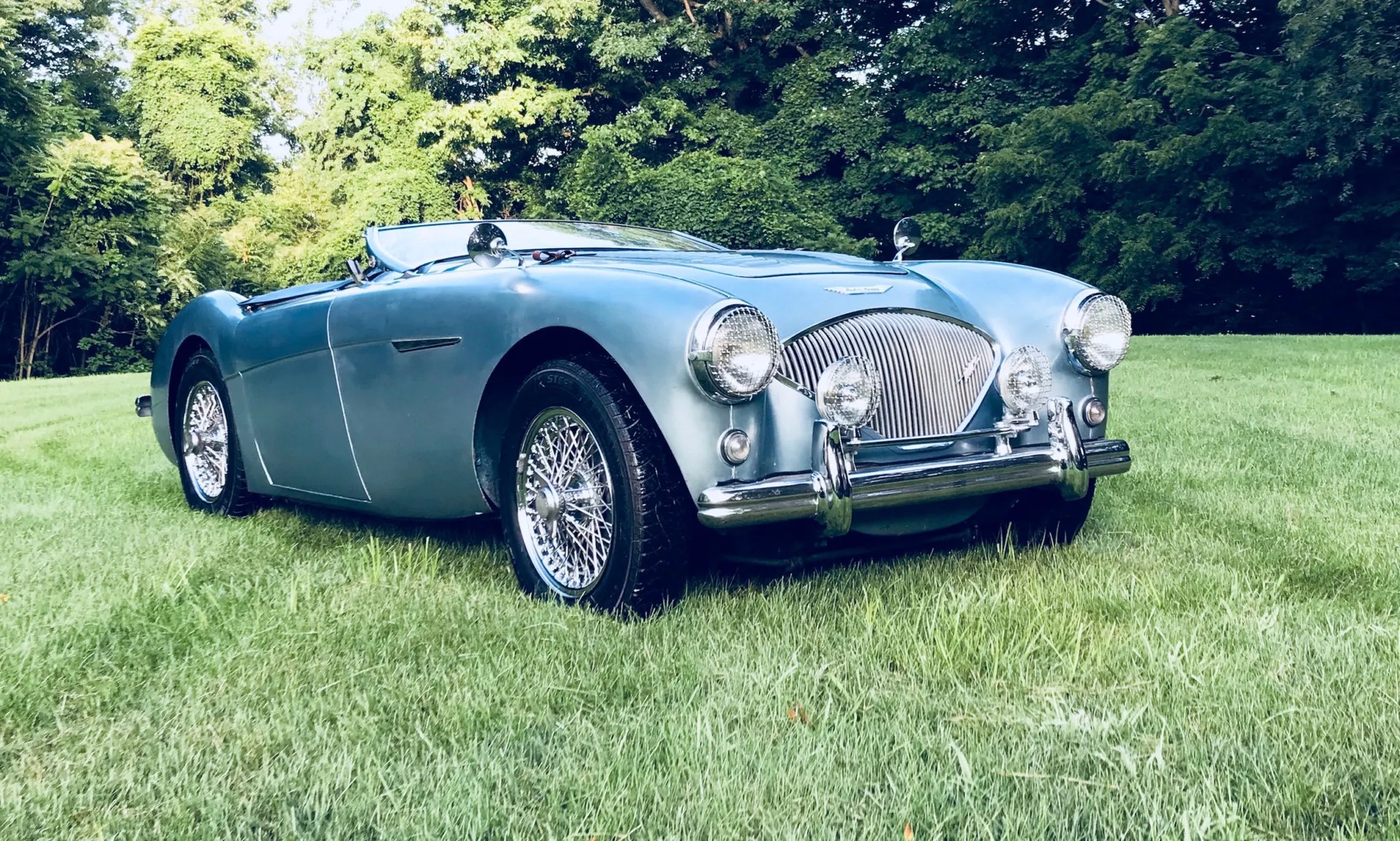 AUSTIN-HEALEY AUSTIN-HEALEY 100/4 BN2 LM