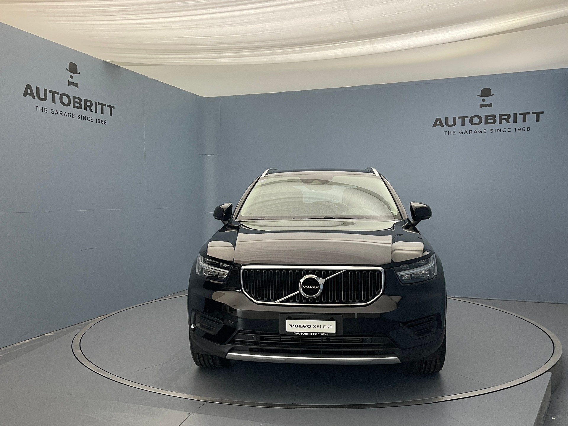 VOLVO XC40 1.5 T3 Momentum-showroom-element-2