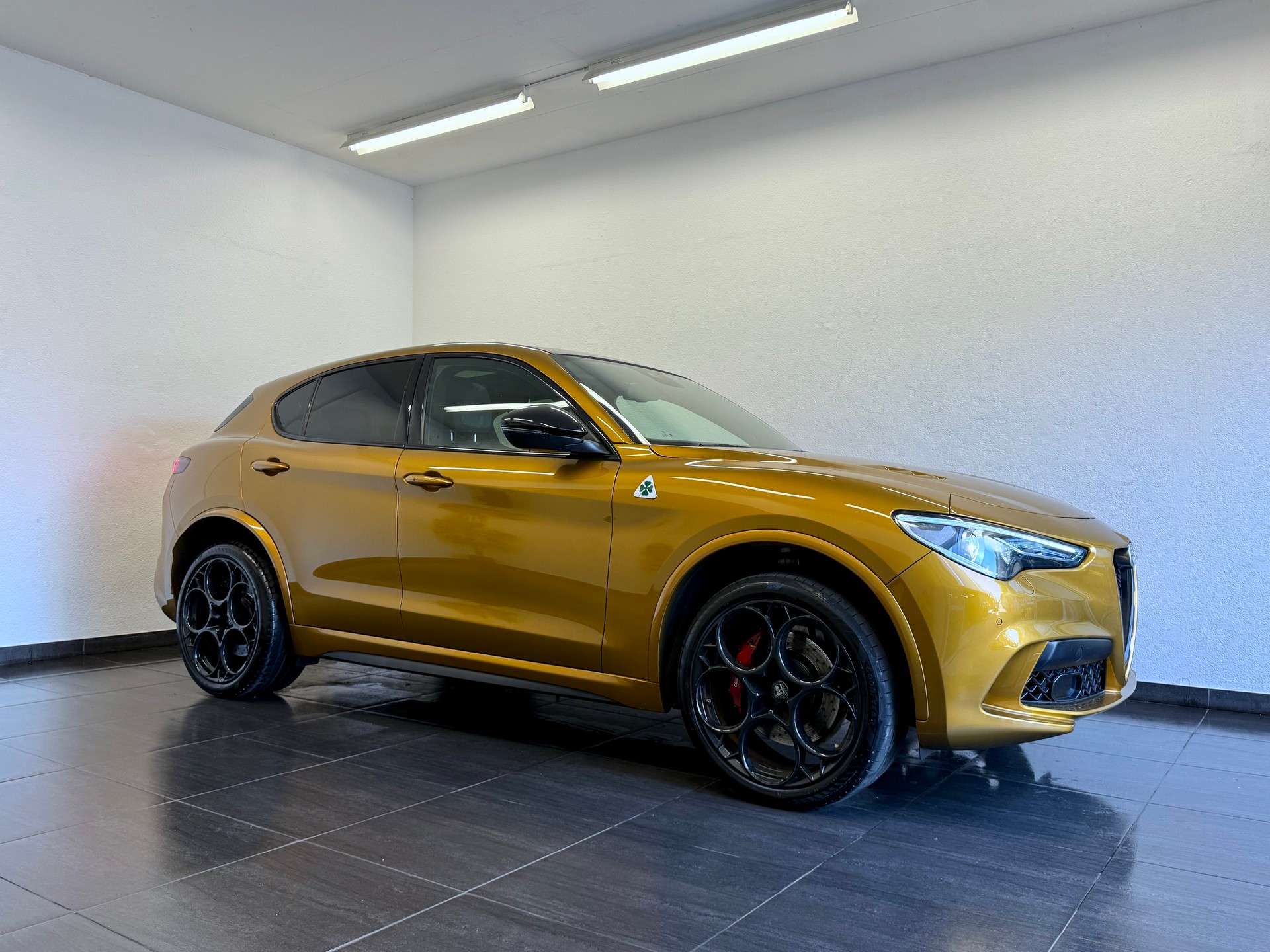 ALFA ROMEO Stelvio 2.9 V6 Quadrifoglio *AKRAPOVIC* Performante Sky Q4