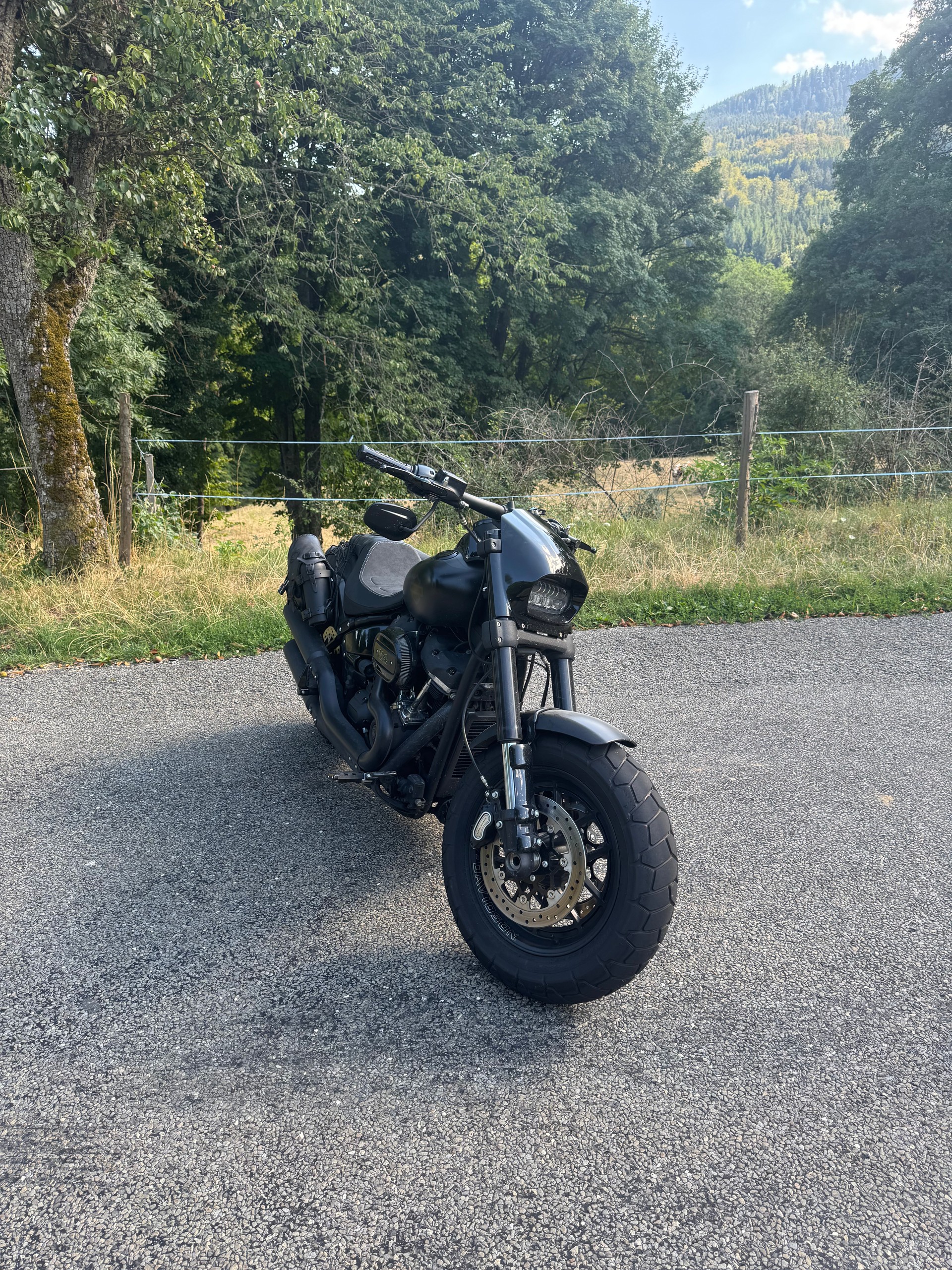 HARLEY-DAVIDSON FXFBS Fat Bob 114 ABS-image-0