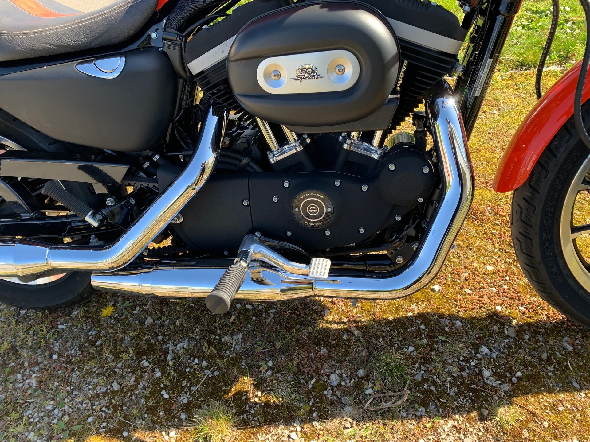 HARLEY-DAVIDSON XL 883 Sportster Injection-image-7