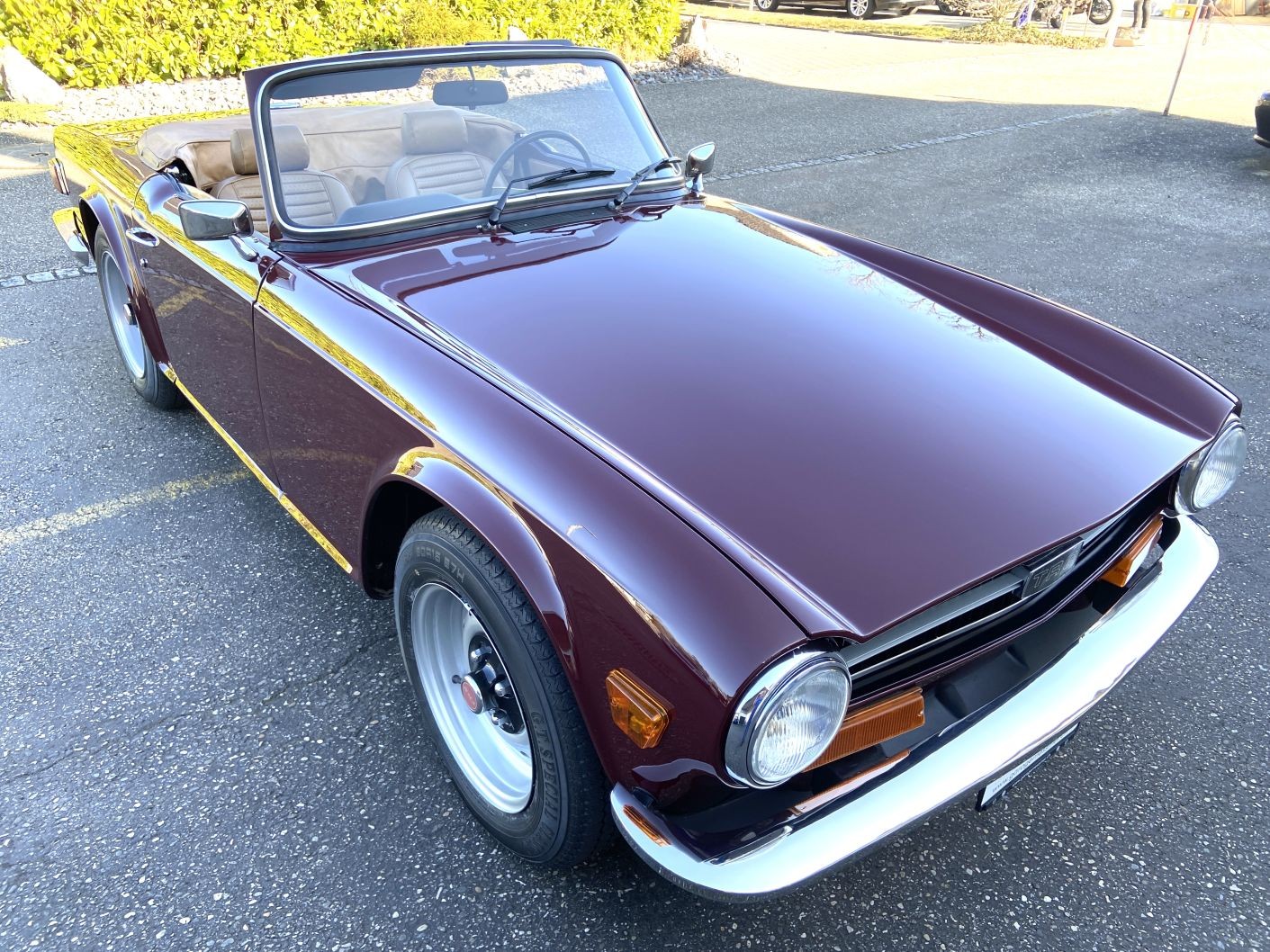 TRIUMPH TR6 Veteran-image-1