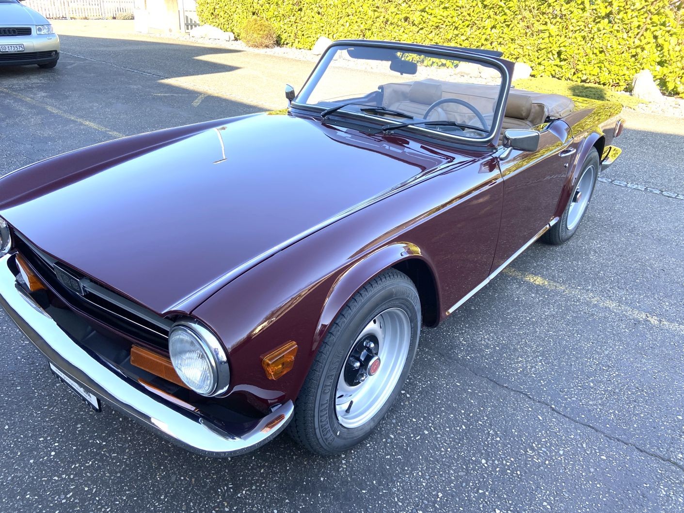 TRIUMPH TR6 Veteran-image-2