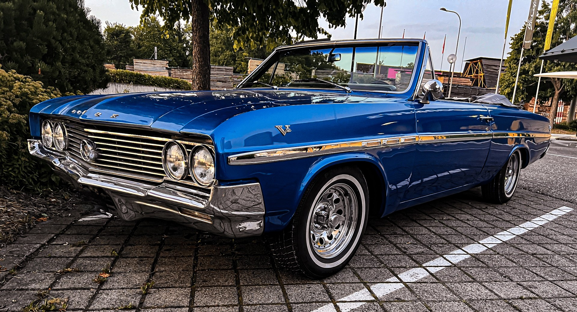 BUICK SKYLARK-image-1