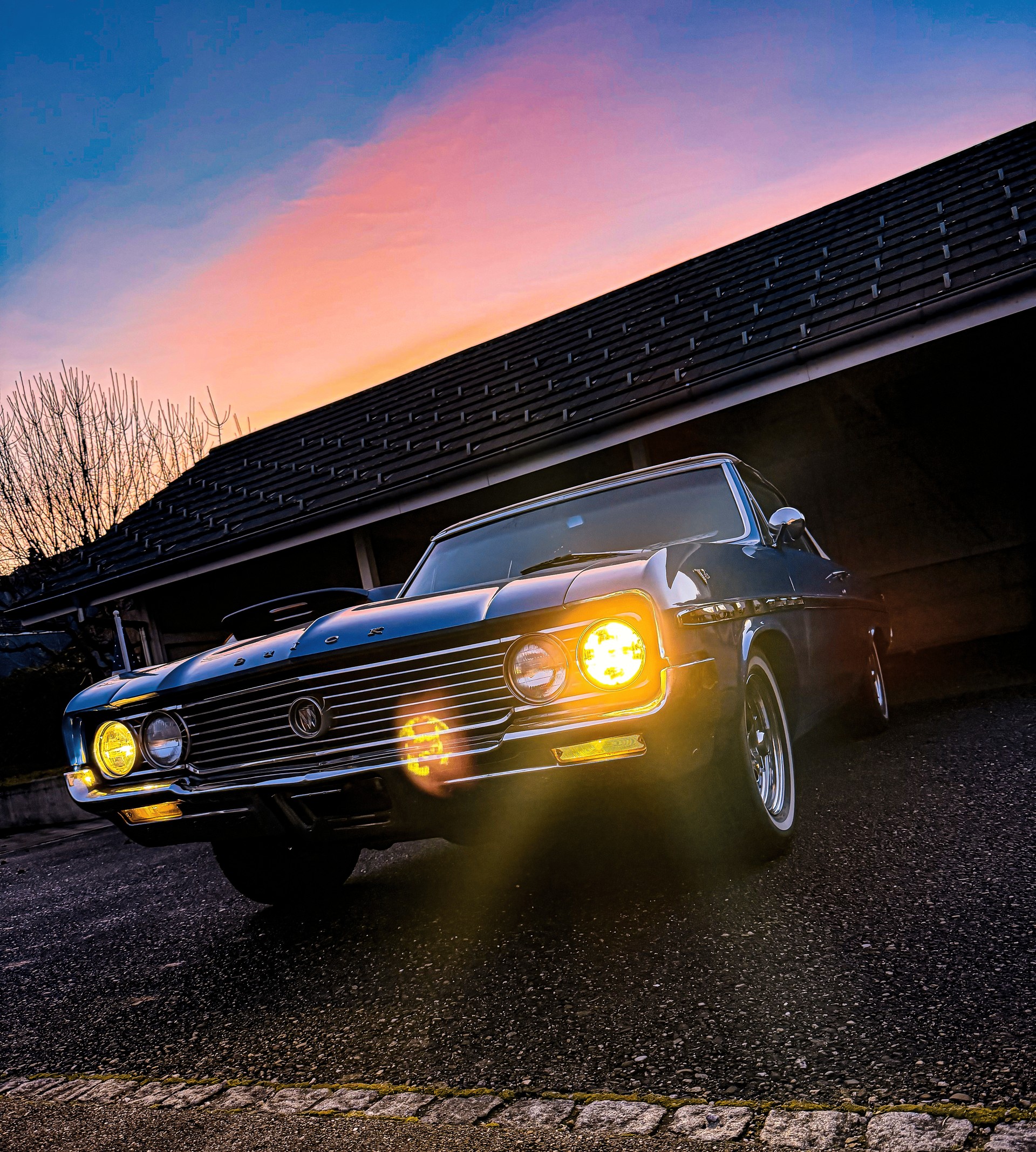 BUICK SKYLARK-image-4