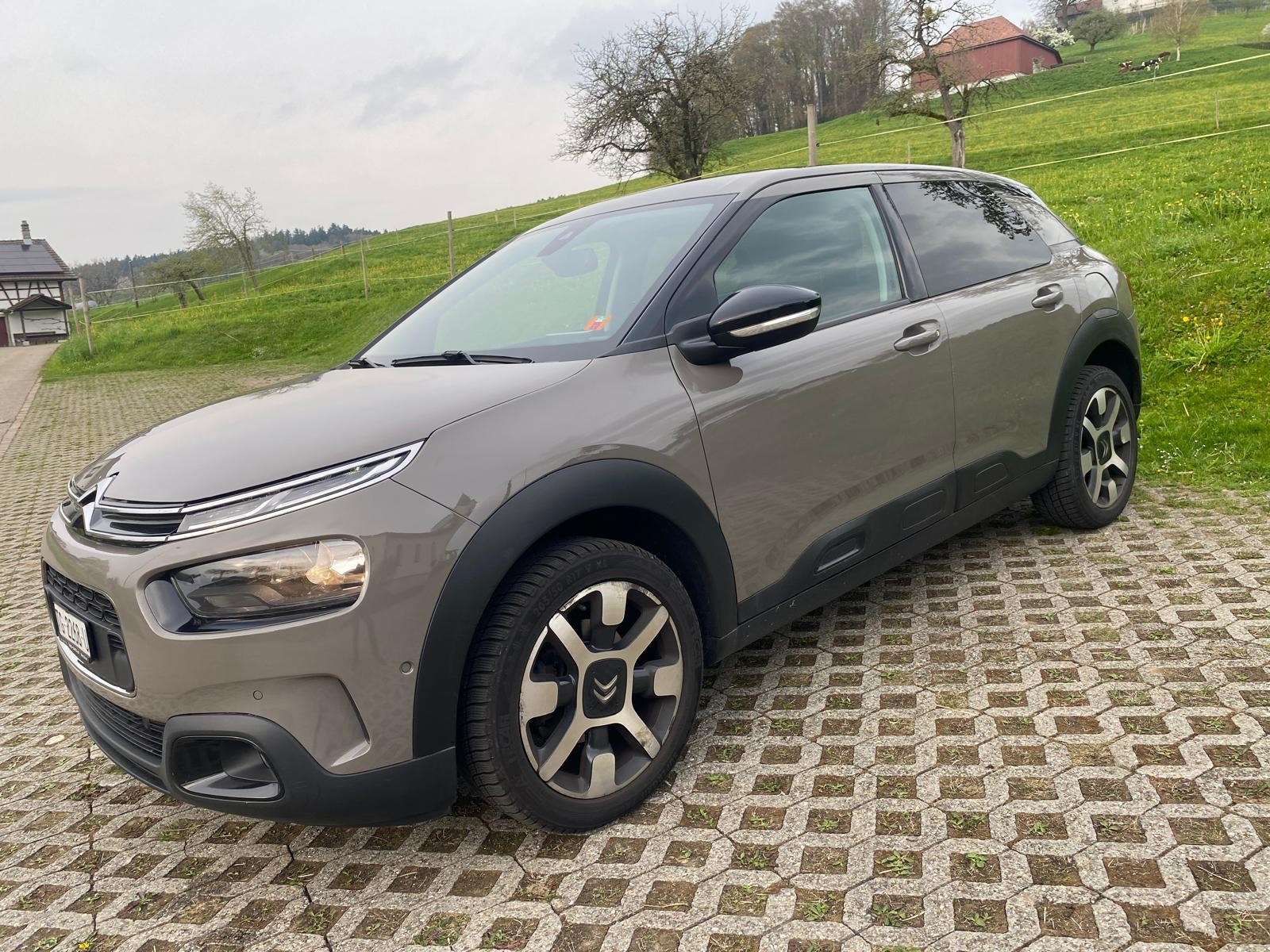 CITROEN C4 Cactus 1.2 Pure Tech Shine