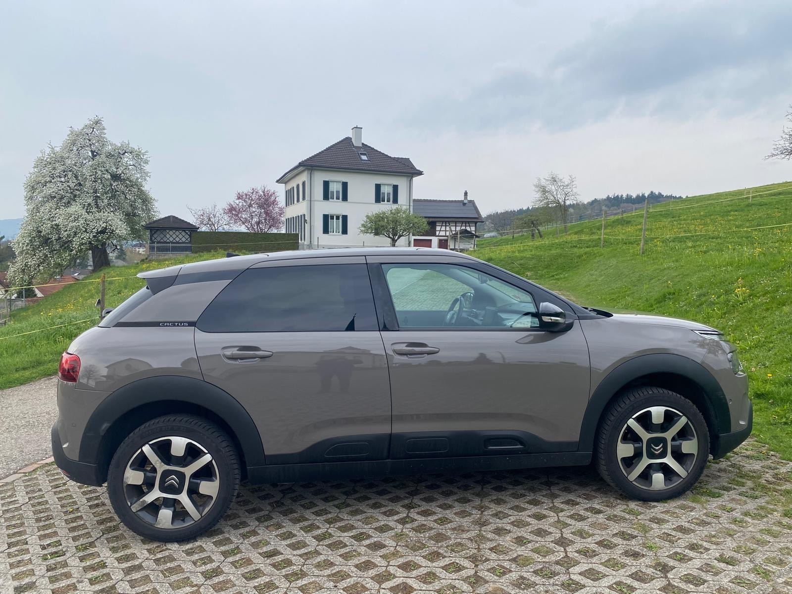 CITROEN C4 Cactus 1.2 Pure Tech Shine-image-2