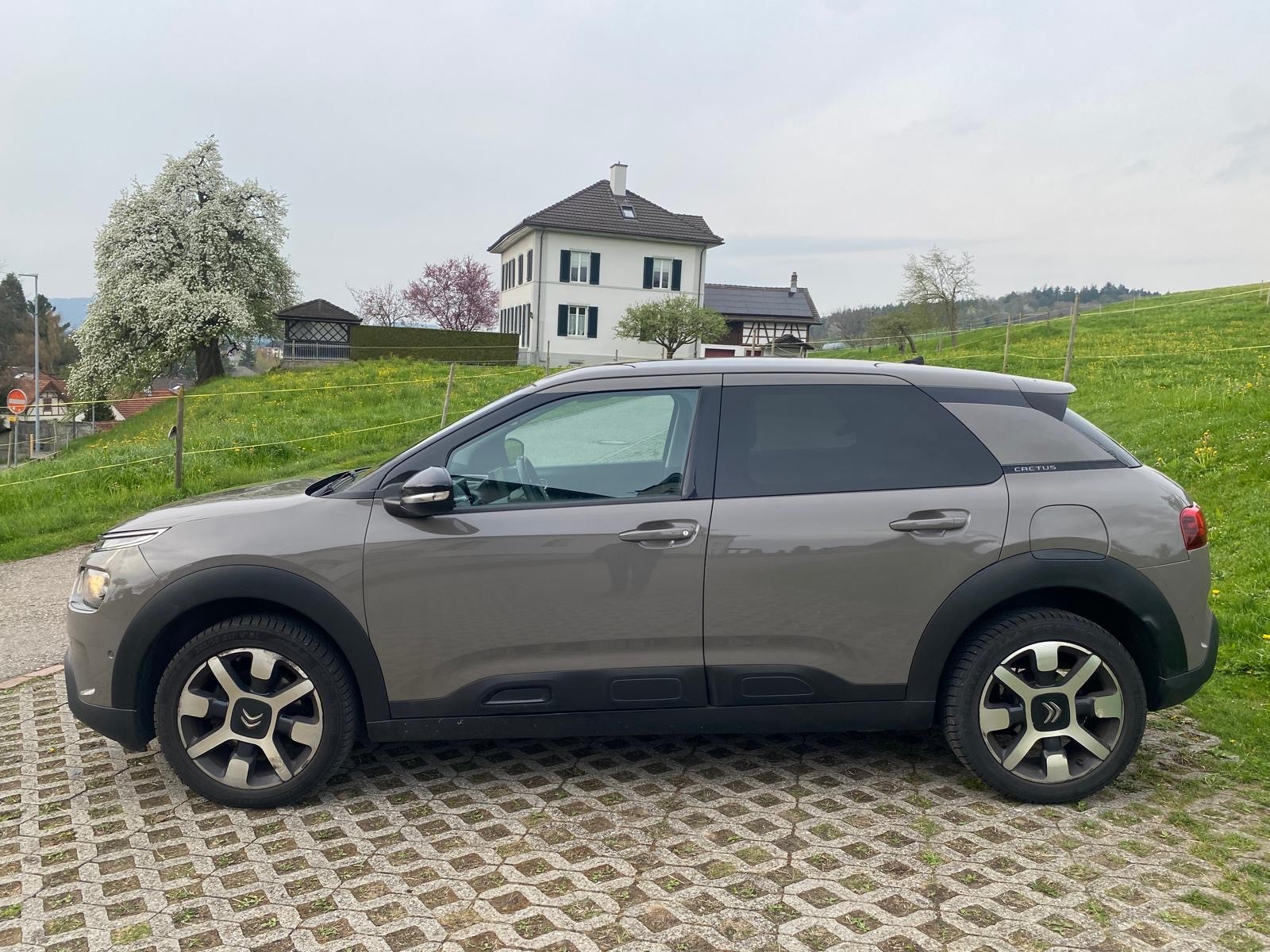 CITROEN C4 Cactus 1.2 Pure Tech Shine-image-3