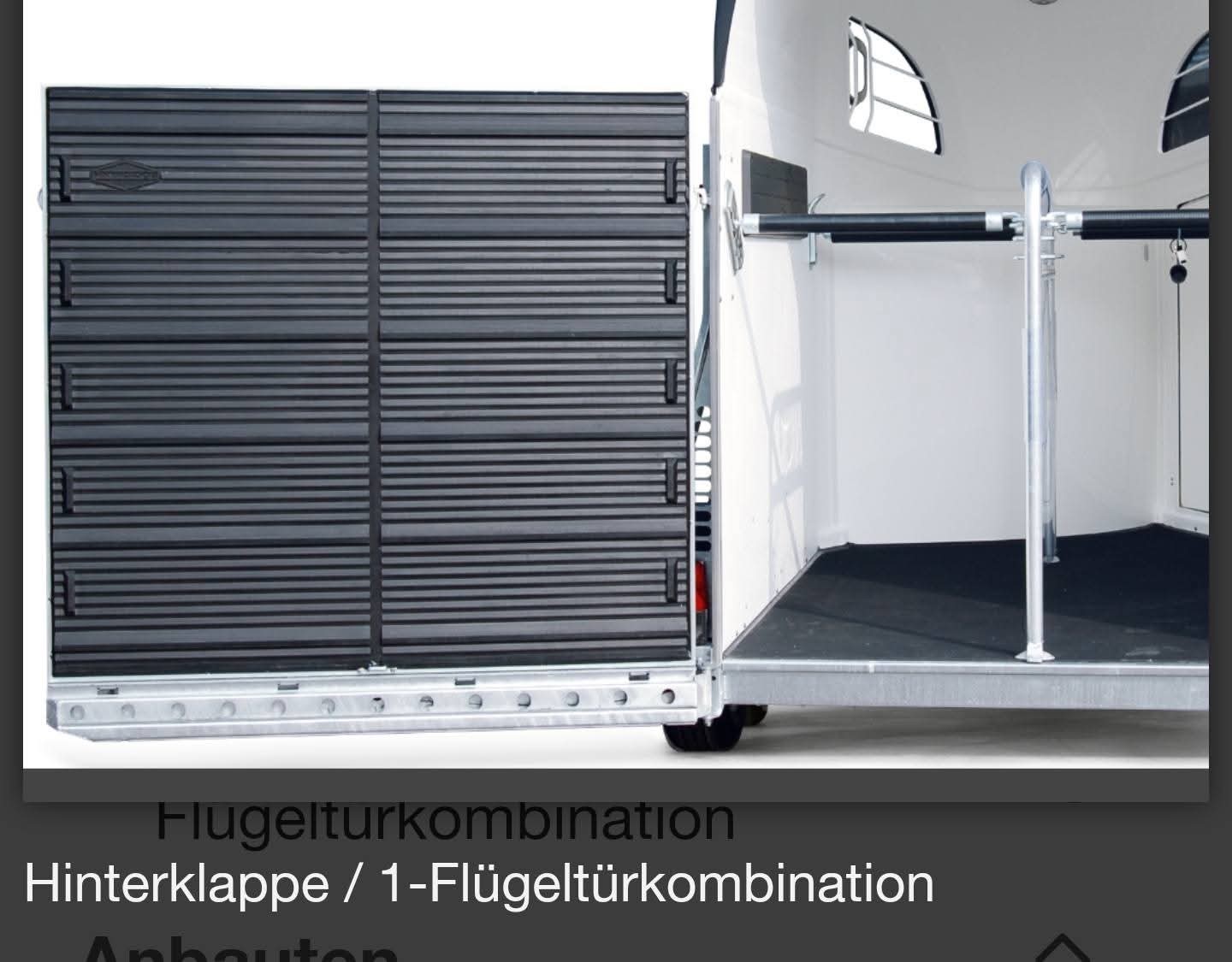 BÖCKMANN Champion Isy 165 C-image-1