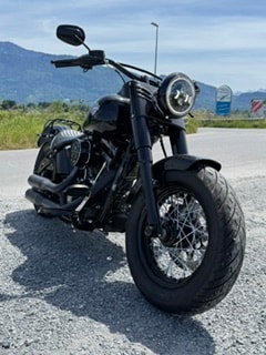 HARLEY-DAVIDSON FLSS Softail Slim S110 ABS-image-4