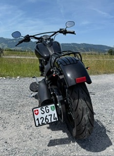 HARLEY-DAVIDSON FLSS Softail Slim S110 ABS-image-1
