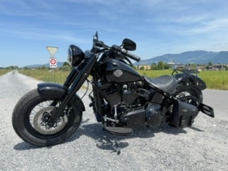 HARLEY-DAVIDSON FLSS Softail Slim S110 ABS-image-9