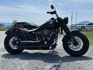 HARLEY-DAVIDSON FLSS Softail Slim S110 ABS-image-3
