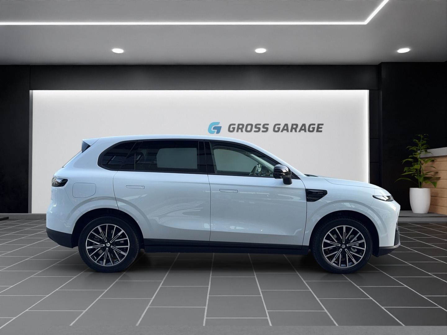 LEAPMOTOR B10 1.5 Hybrid EV-showroom-element-3