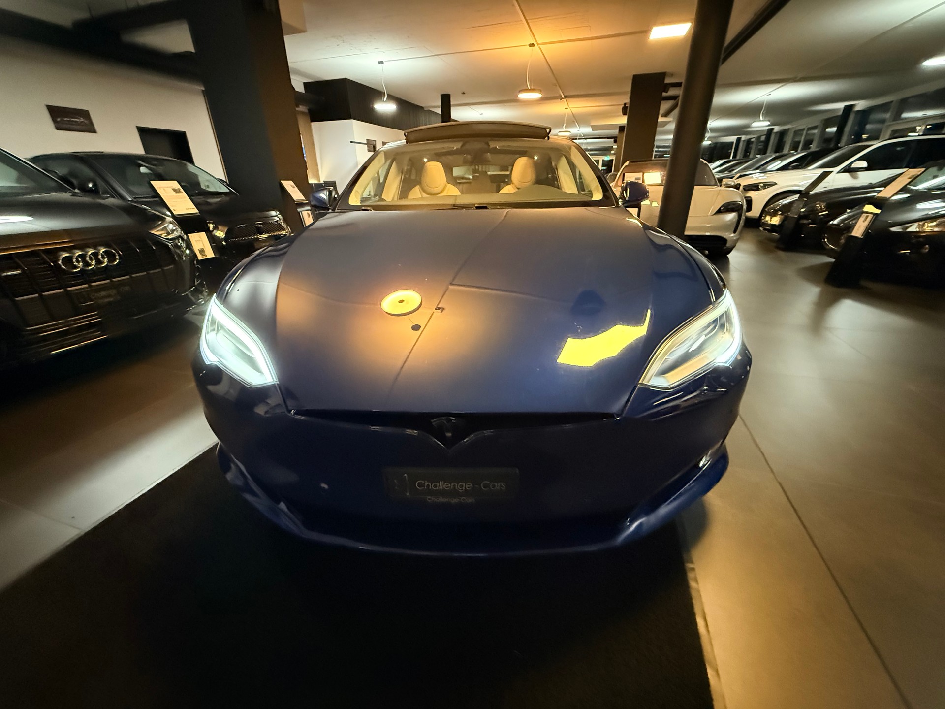 TESLA Model S 100 D-image-21