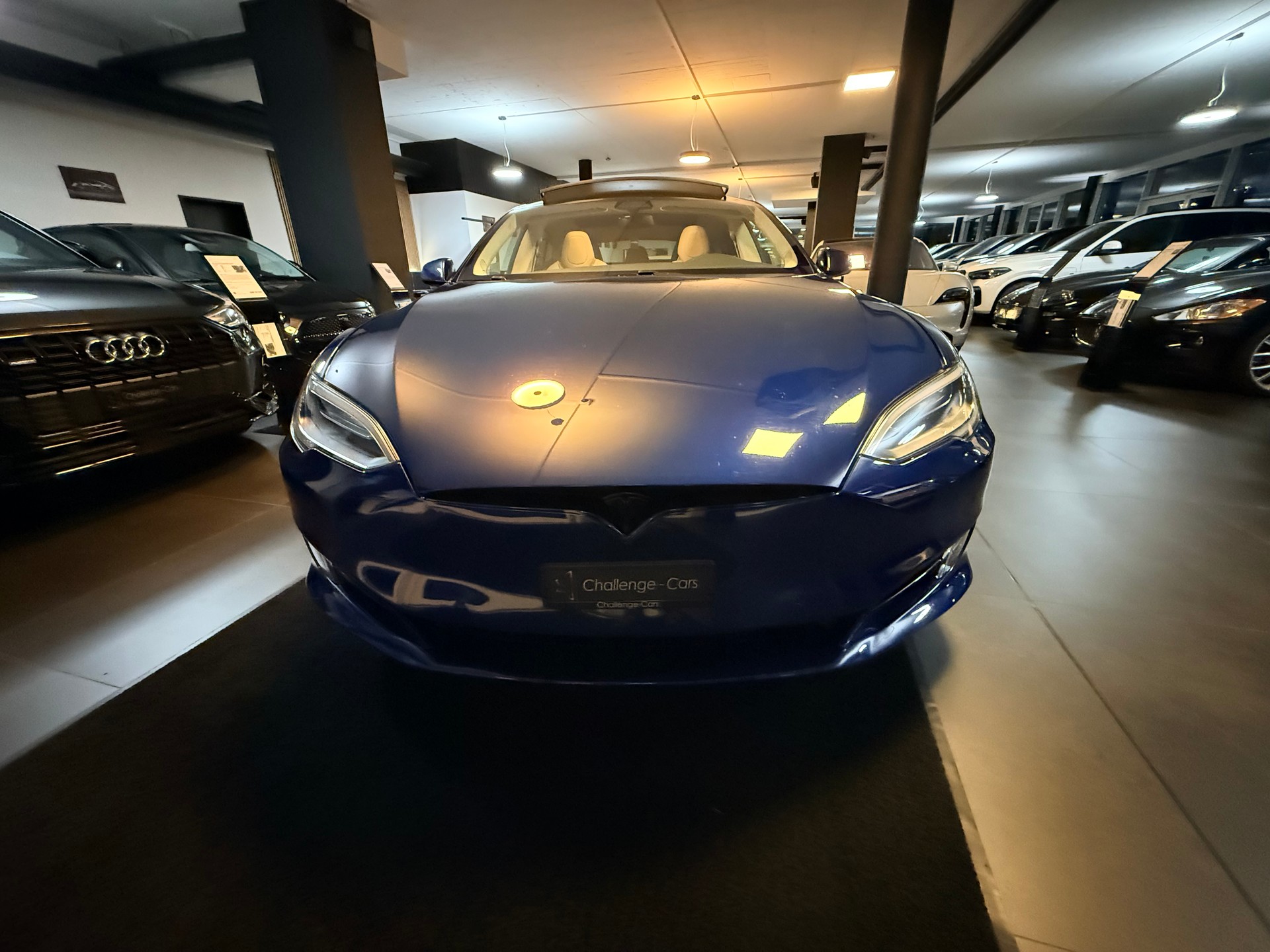 TESLA Model S 100 D-image-20