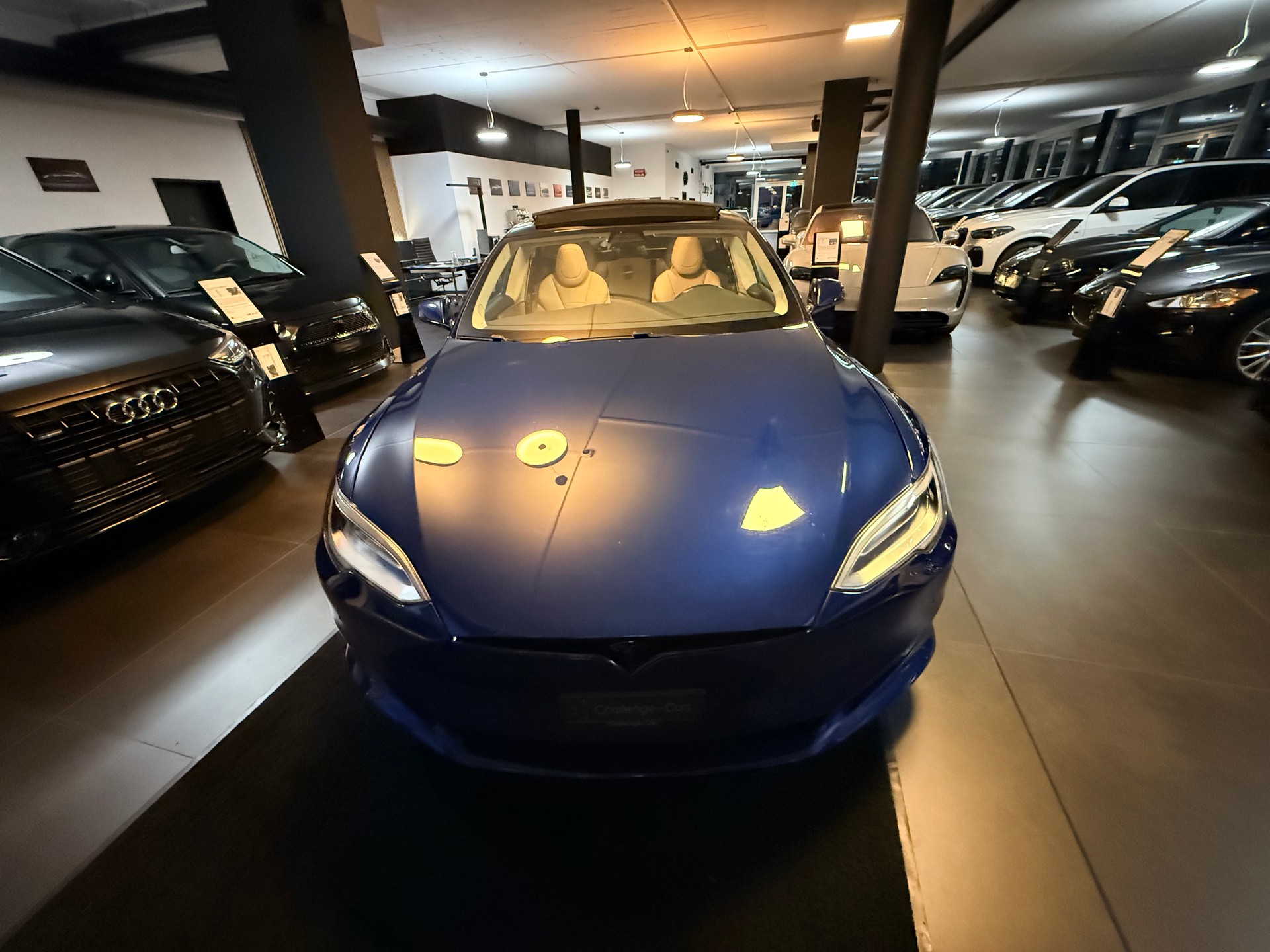TESLA Model S 100 D-image-19