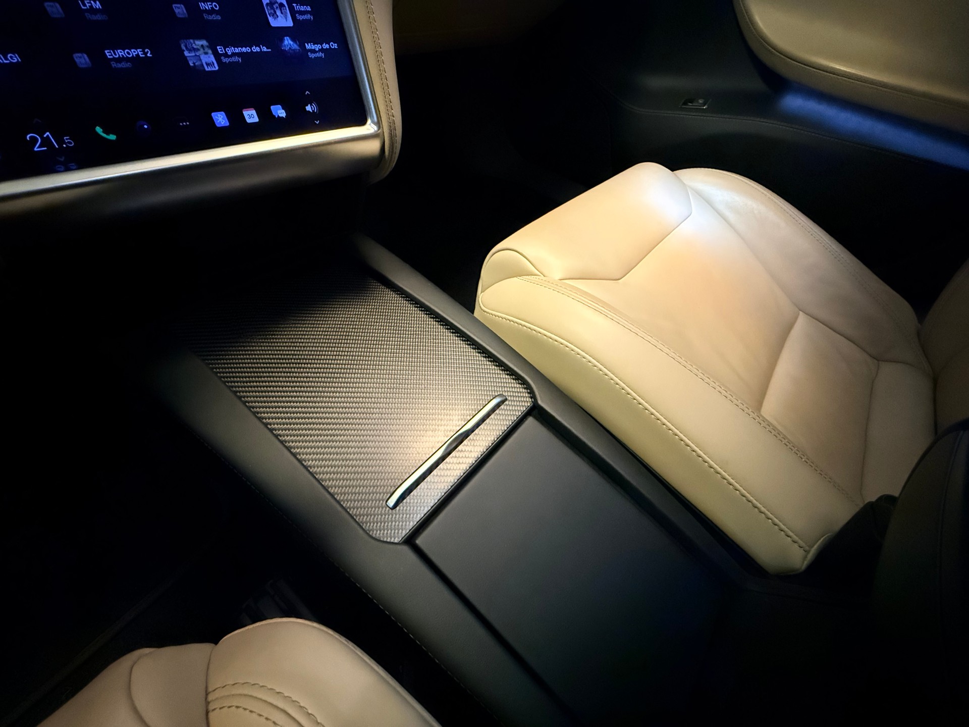 TESLA Model S 100 D-image-28