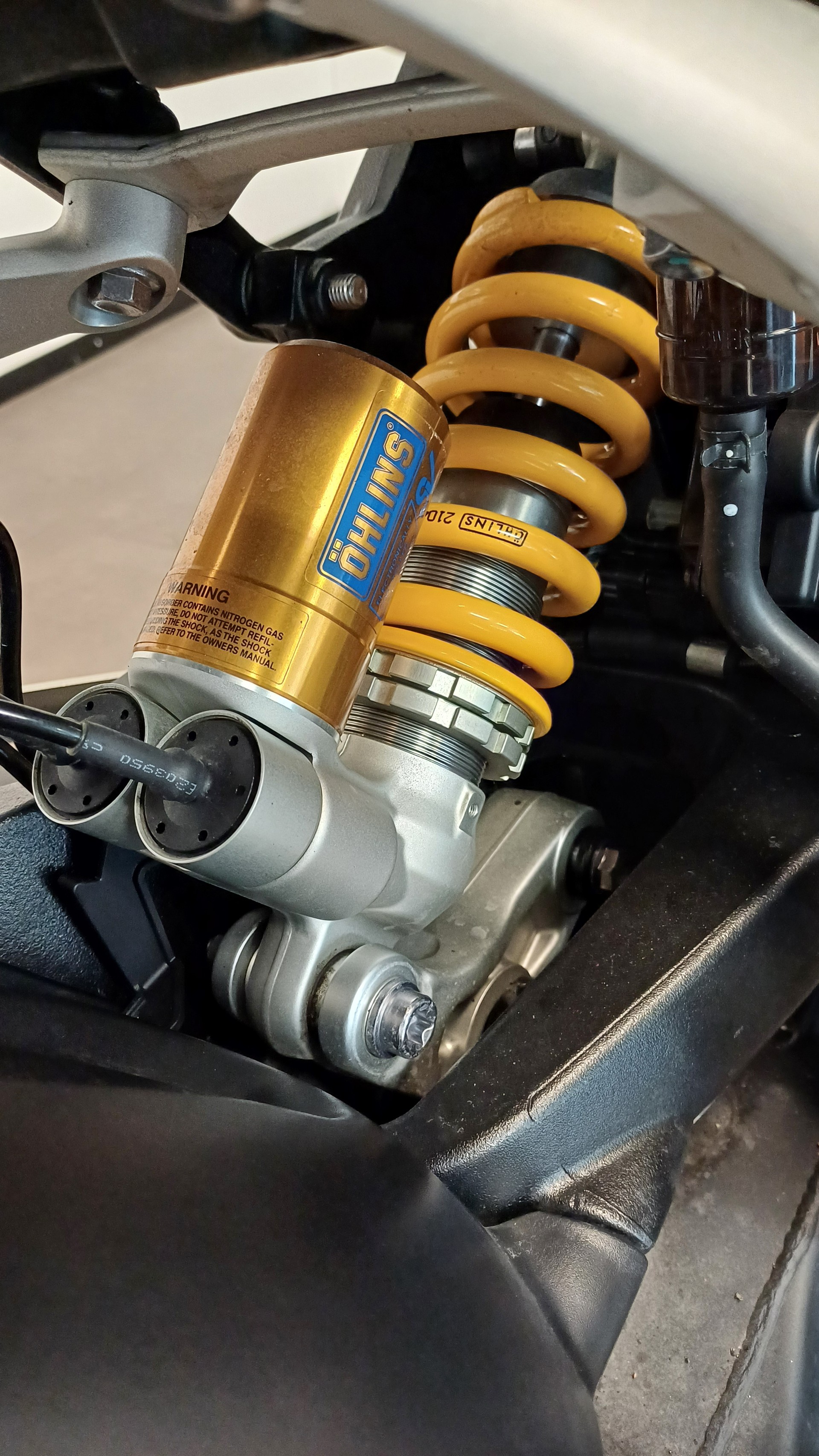 TRIUMPH Speed Triple RS-image-8