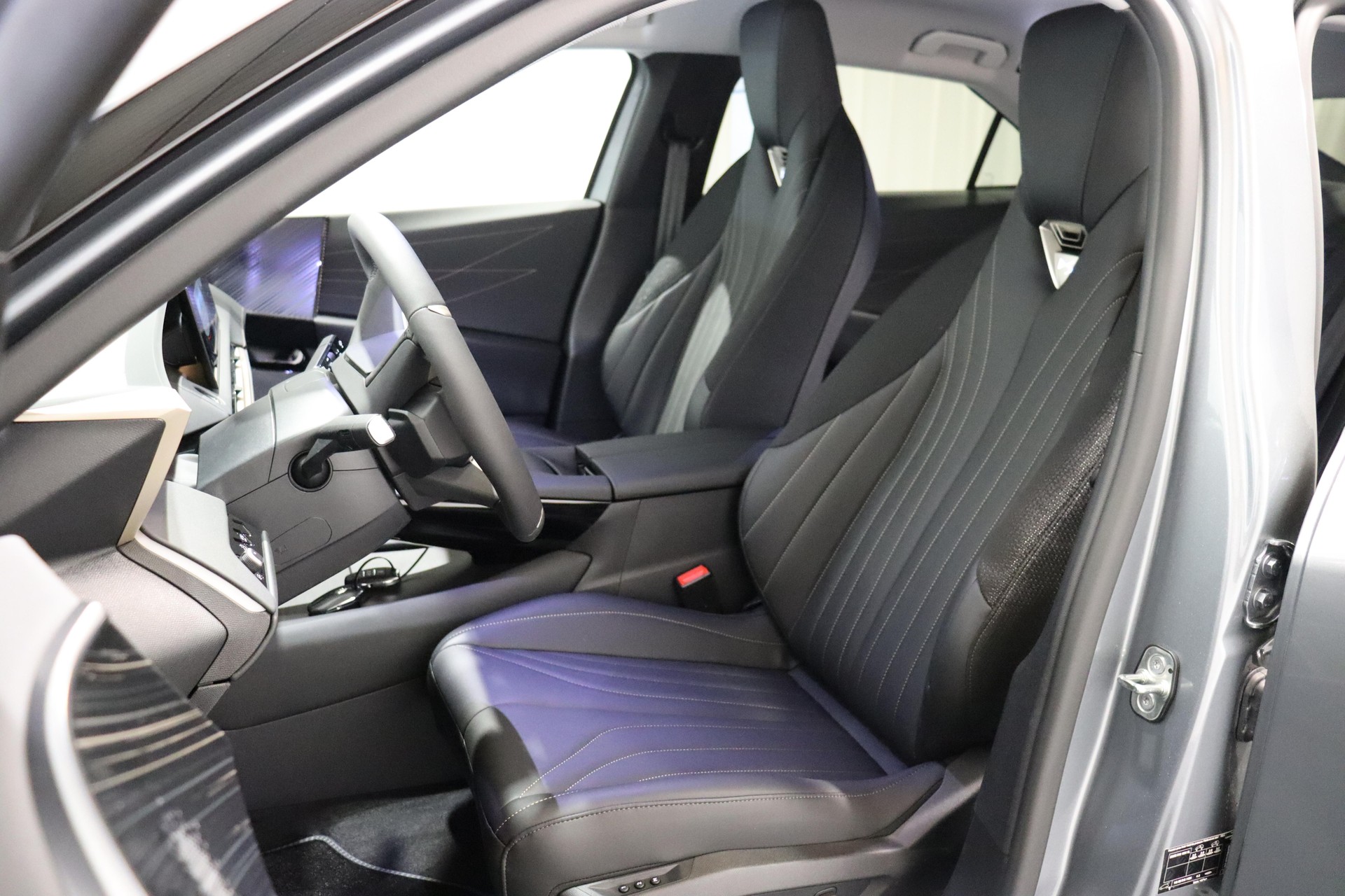 DS AUTOMOBILES No8 E-Tense Pallas-image-4