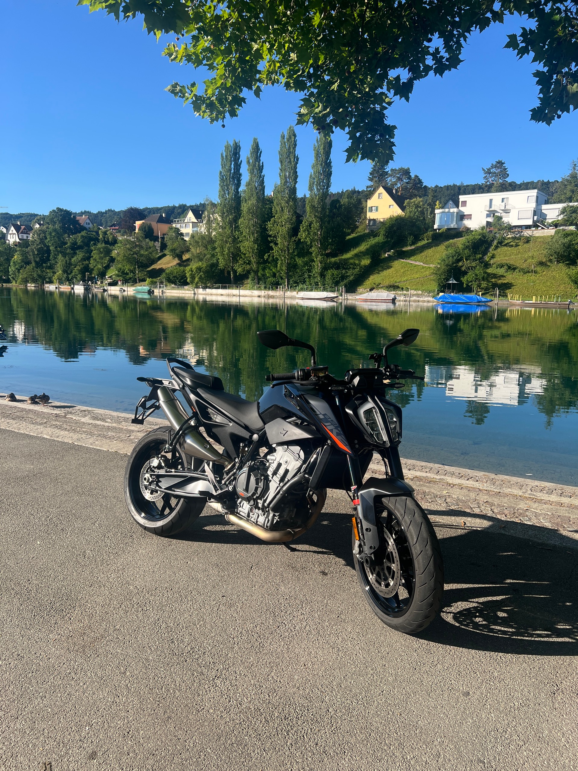 KTM 890 Duke-image-2